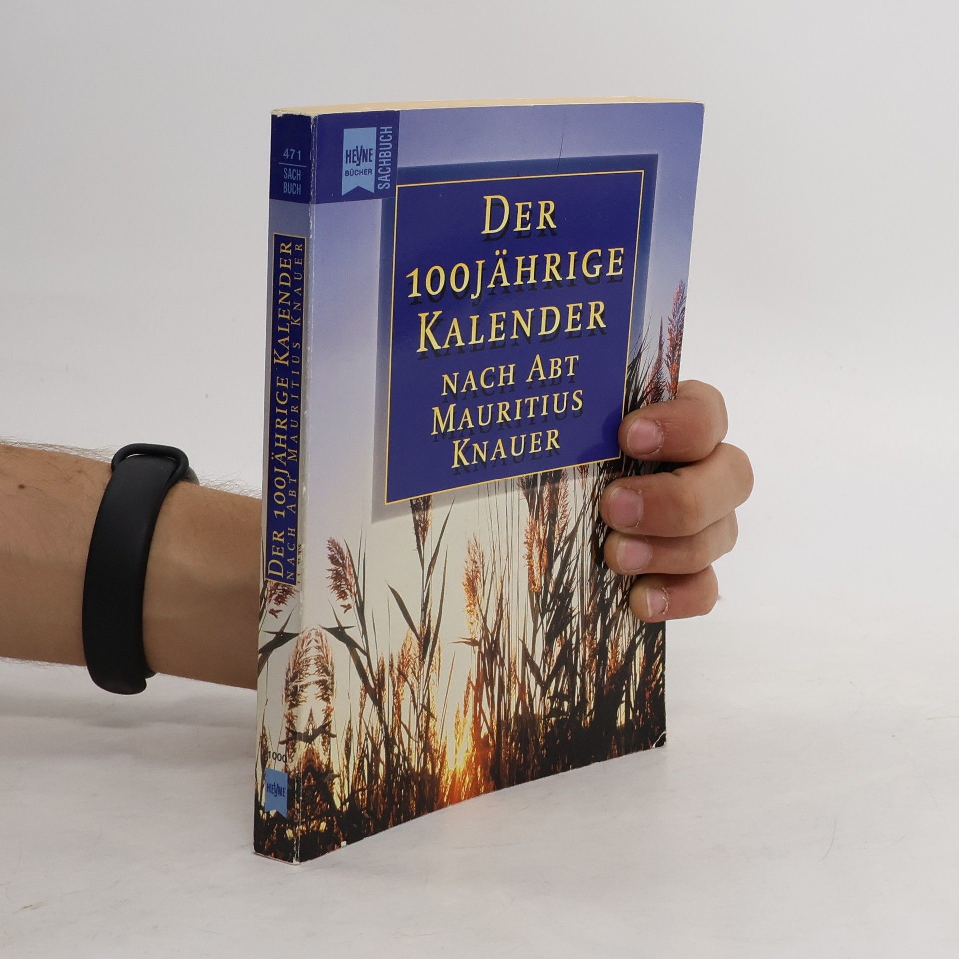Kurt Allgeier Der 100jährige Kalender