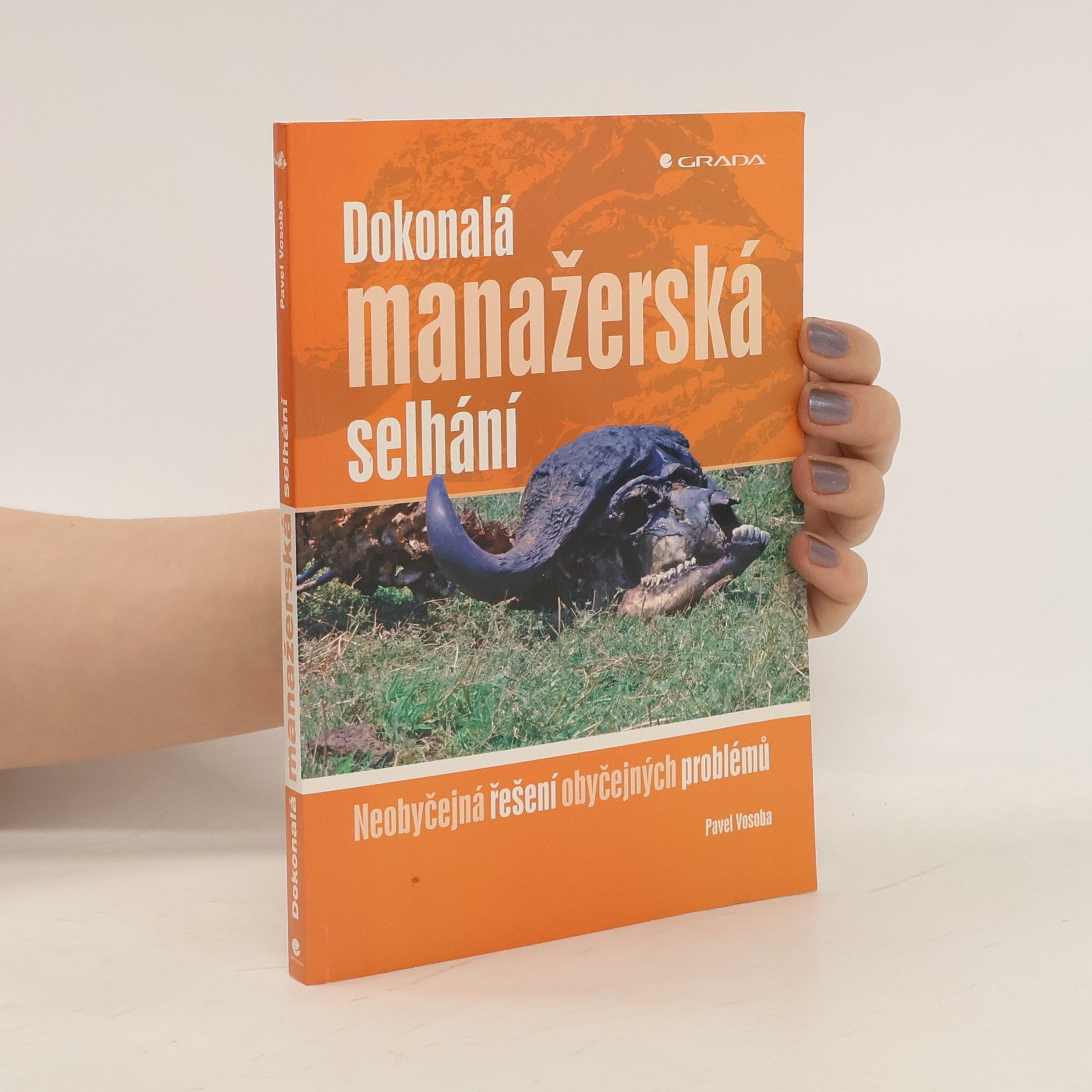 Pavel Vosoba Dokonalá manažerská selhání : neobyčejná řešení obyčejných problémů