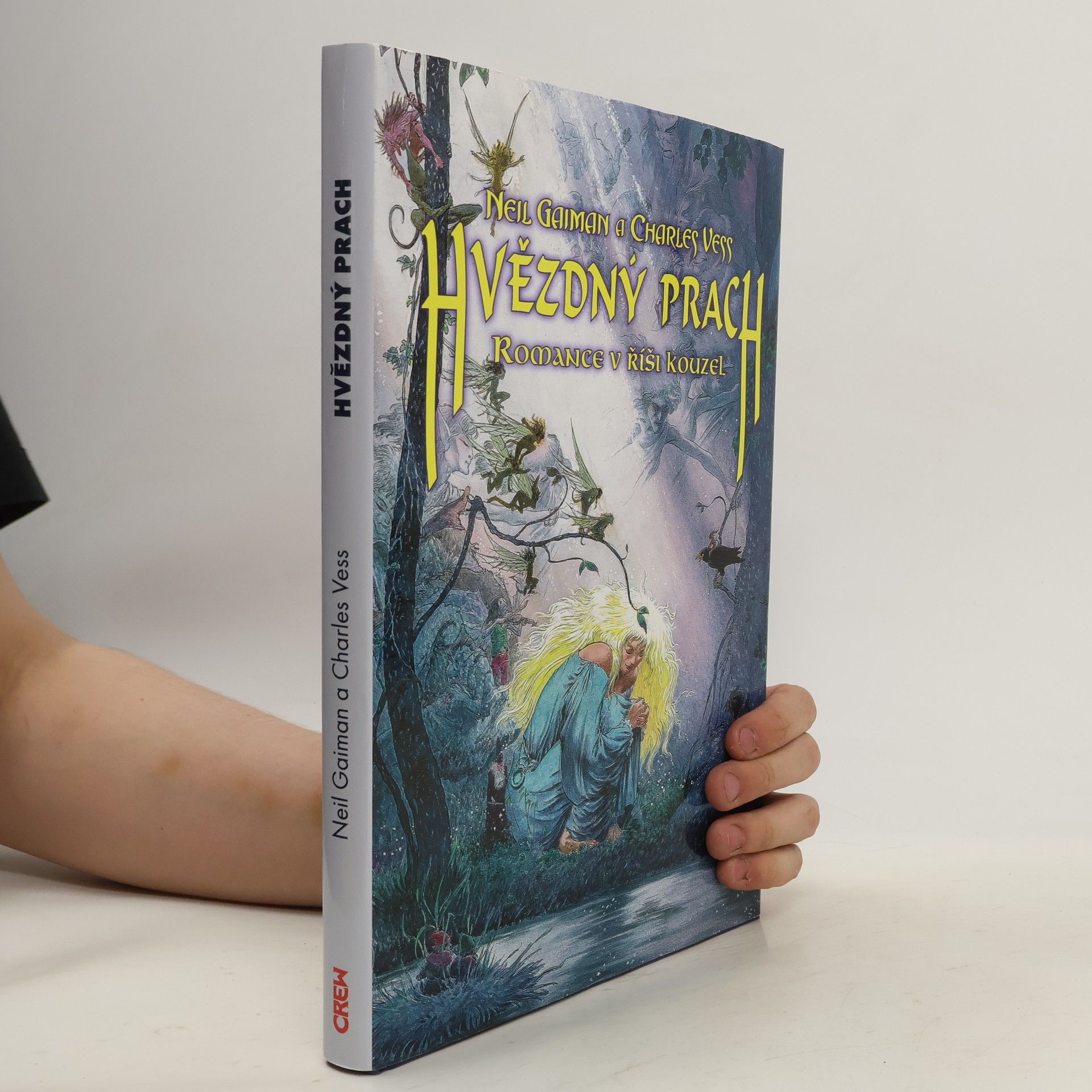 Neil Gaiman Hvězdný prach: romance v říši kouzel