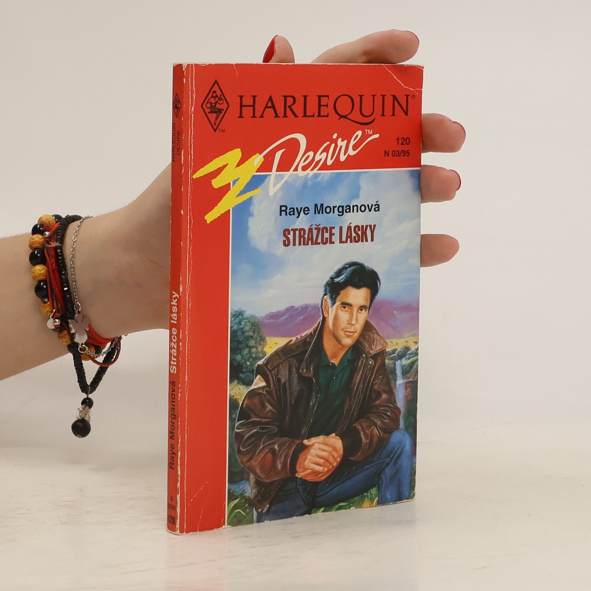 Raye Morgan Strážce lásky