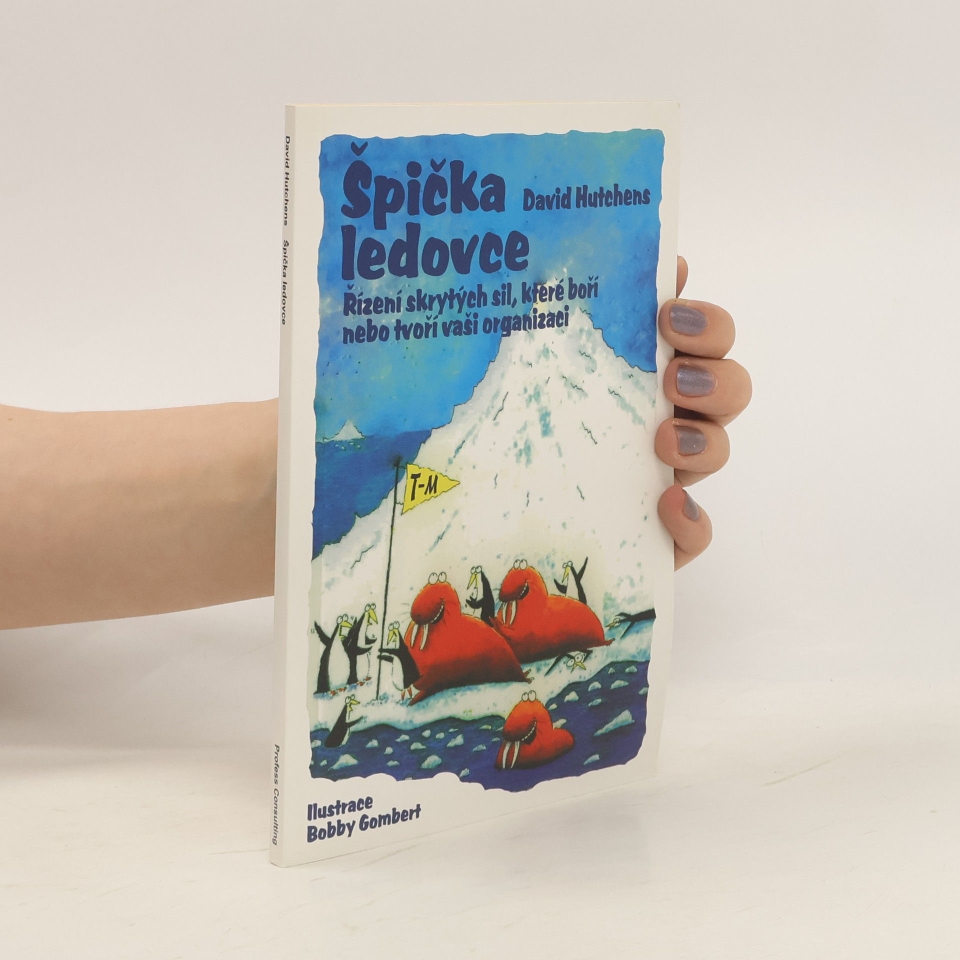 David Hutchens Špička ledovce. Řízení skrytých sil, které boří nebo tvoří vaši organizaci