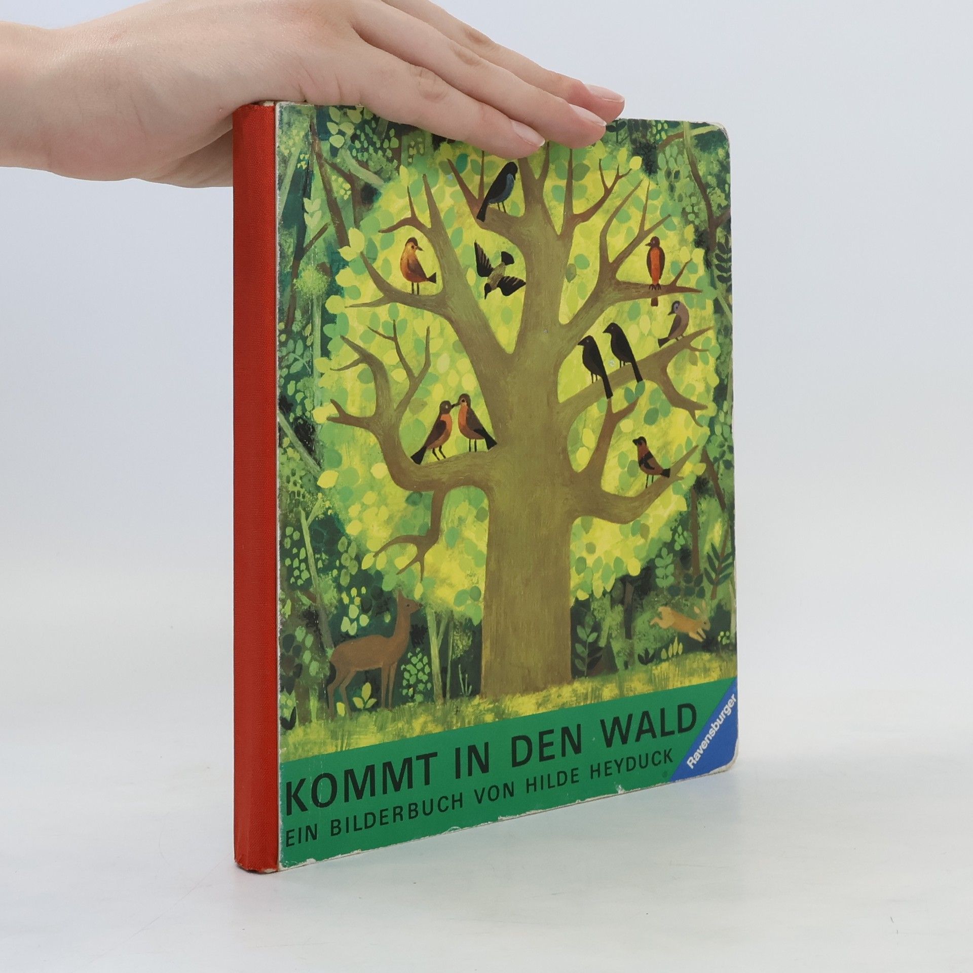 Hilde Heyduck Huth Kommt in den Wald