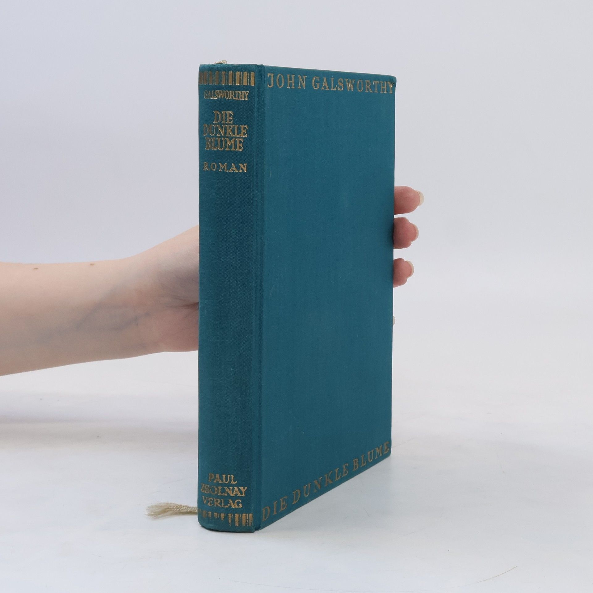 John Galsworthy Die dunkle Blume