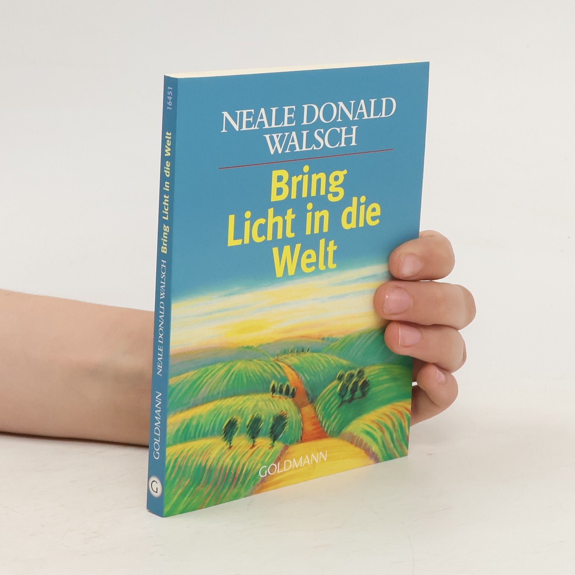 Neale Donald Walsch Bring Licht in die Welt