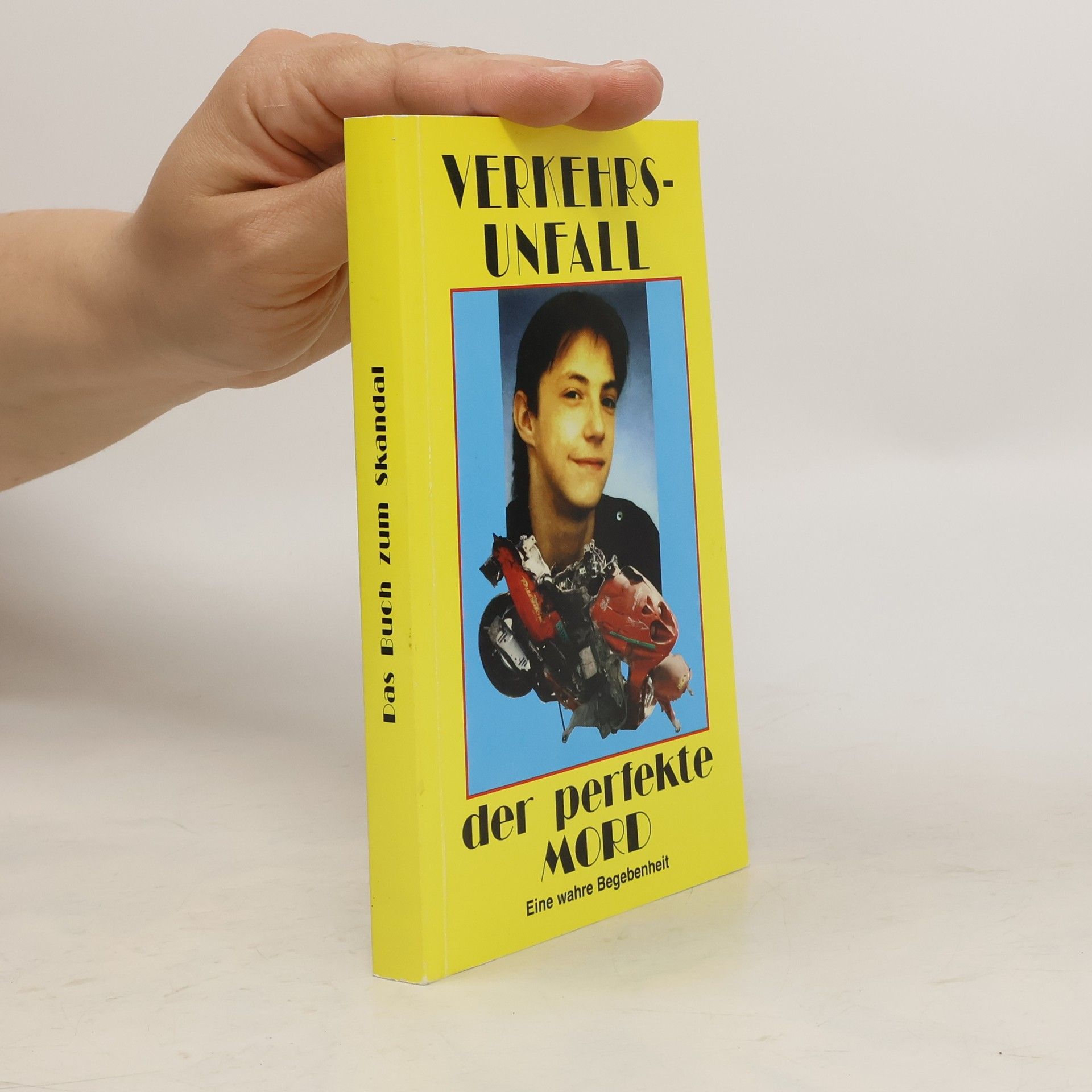 Autorenkollektiv Das Buch zum Skandal. Verkehrsunfall. Der perfekte Mord