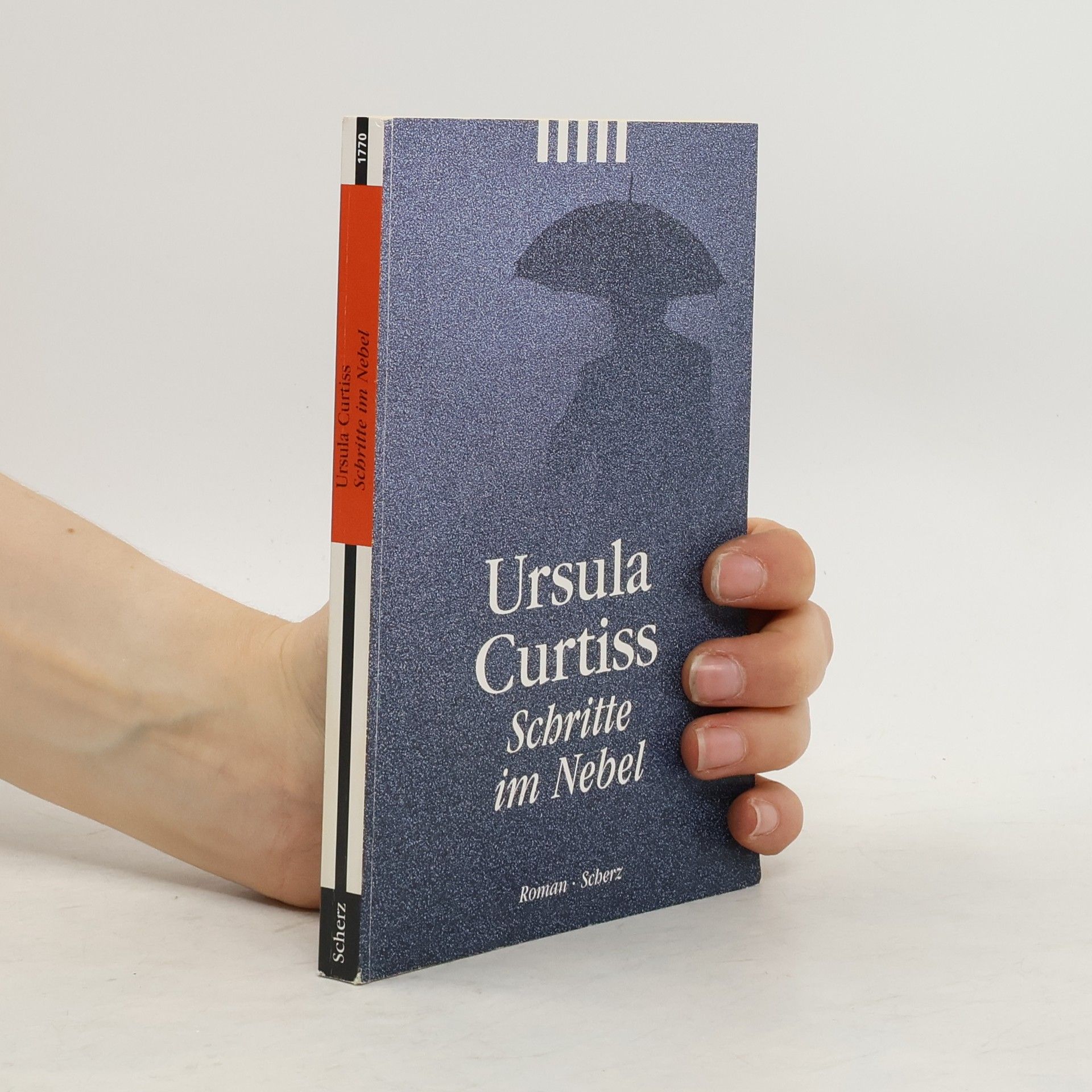 Ursula Reilly Curtiss Schritte im Nebel
