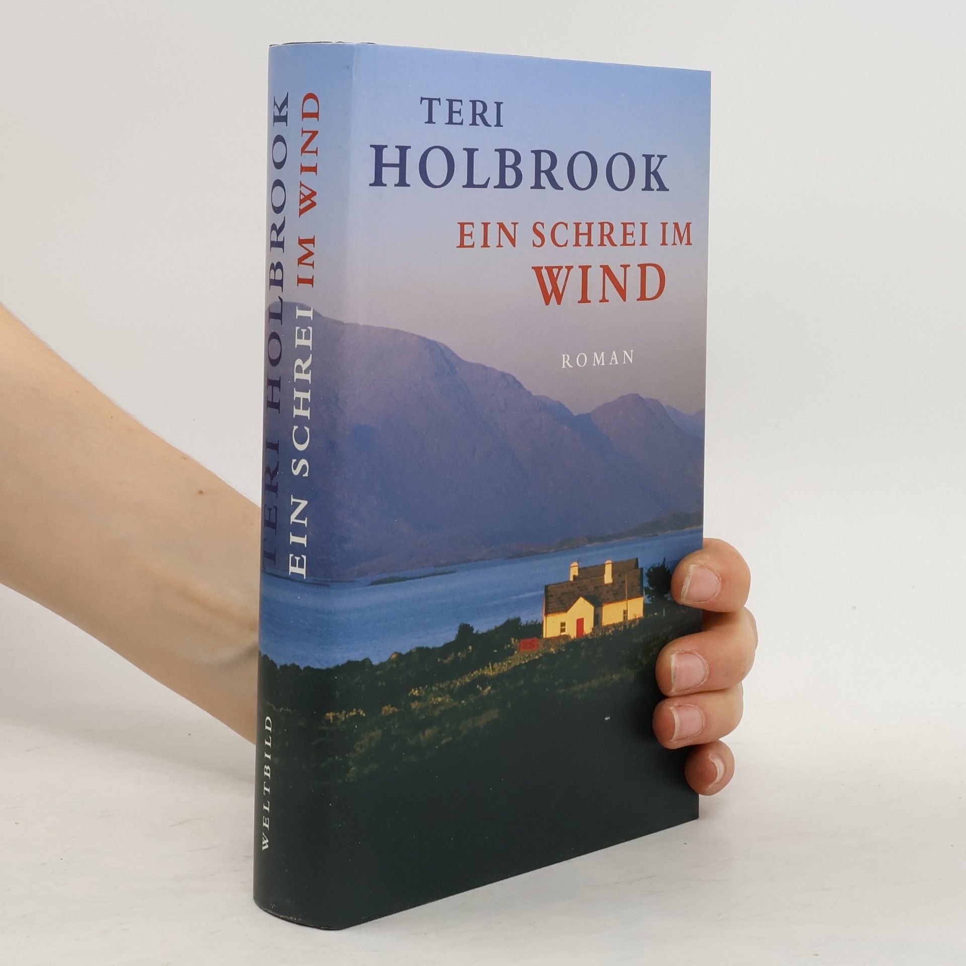 Teri Holbrook Ein Schrei im Wind