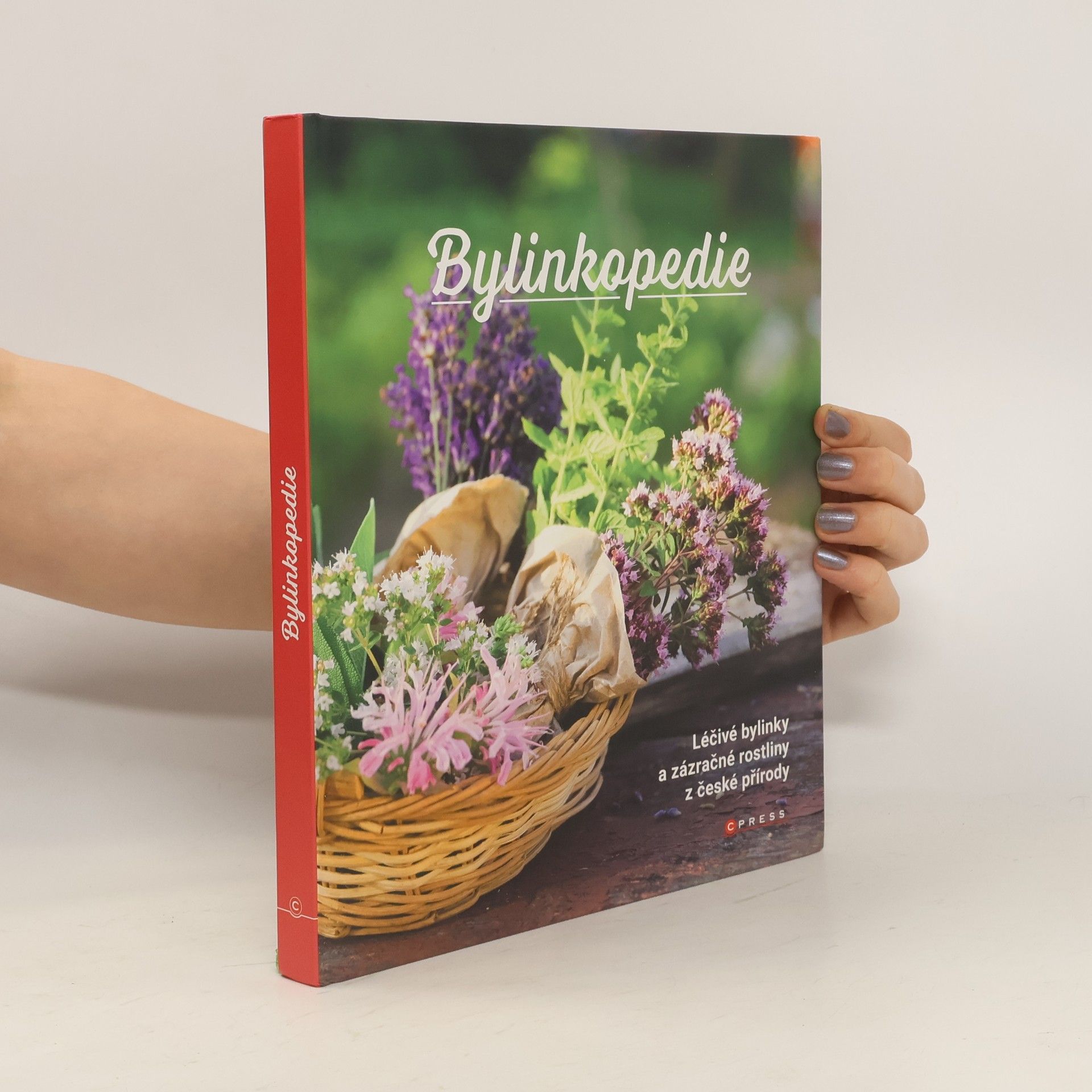 Autorenkollektiv Bylinkopedie