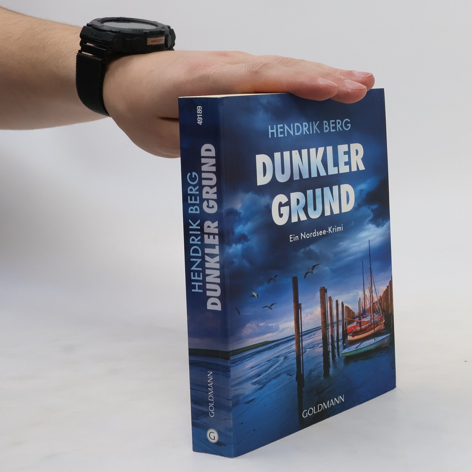 Hendrik Berg Dunkler Grund