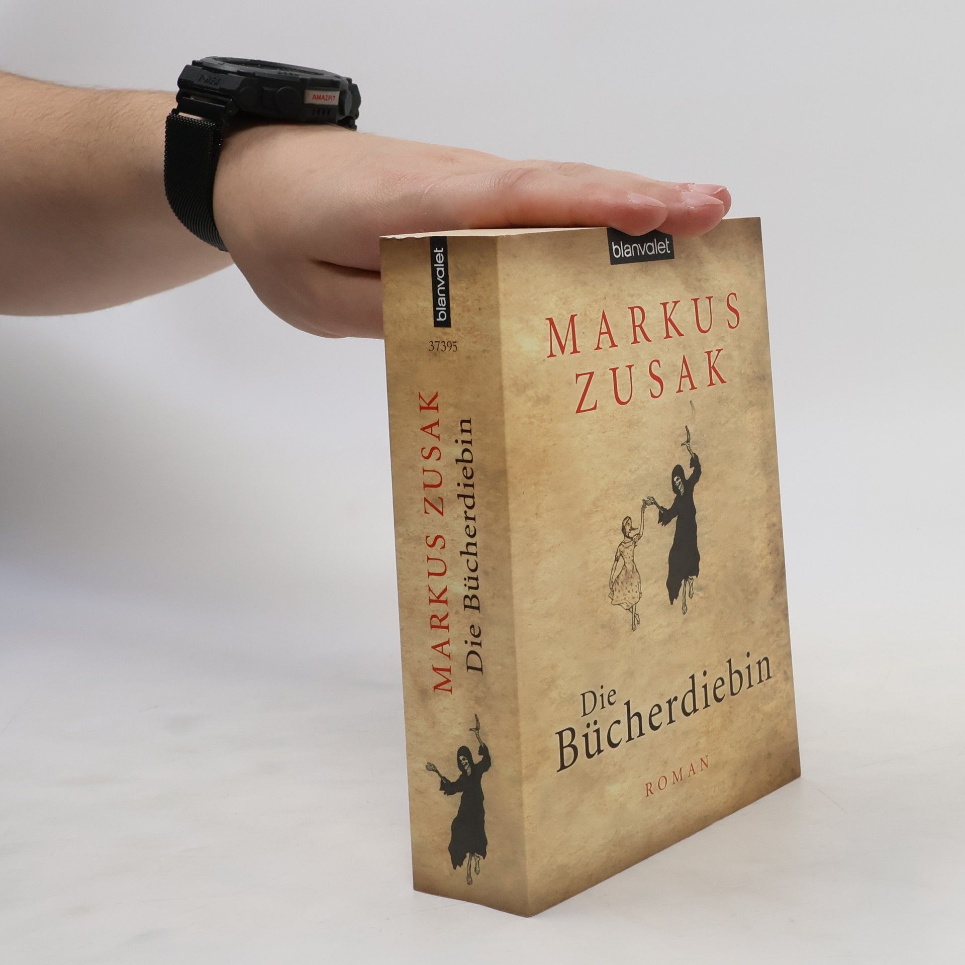 Markus Zusak Die Bücherdiebin: Roman
