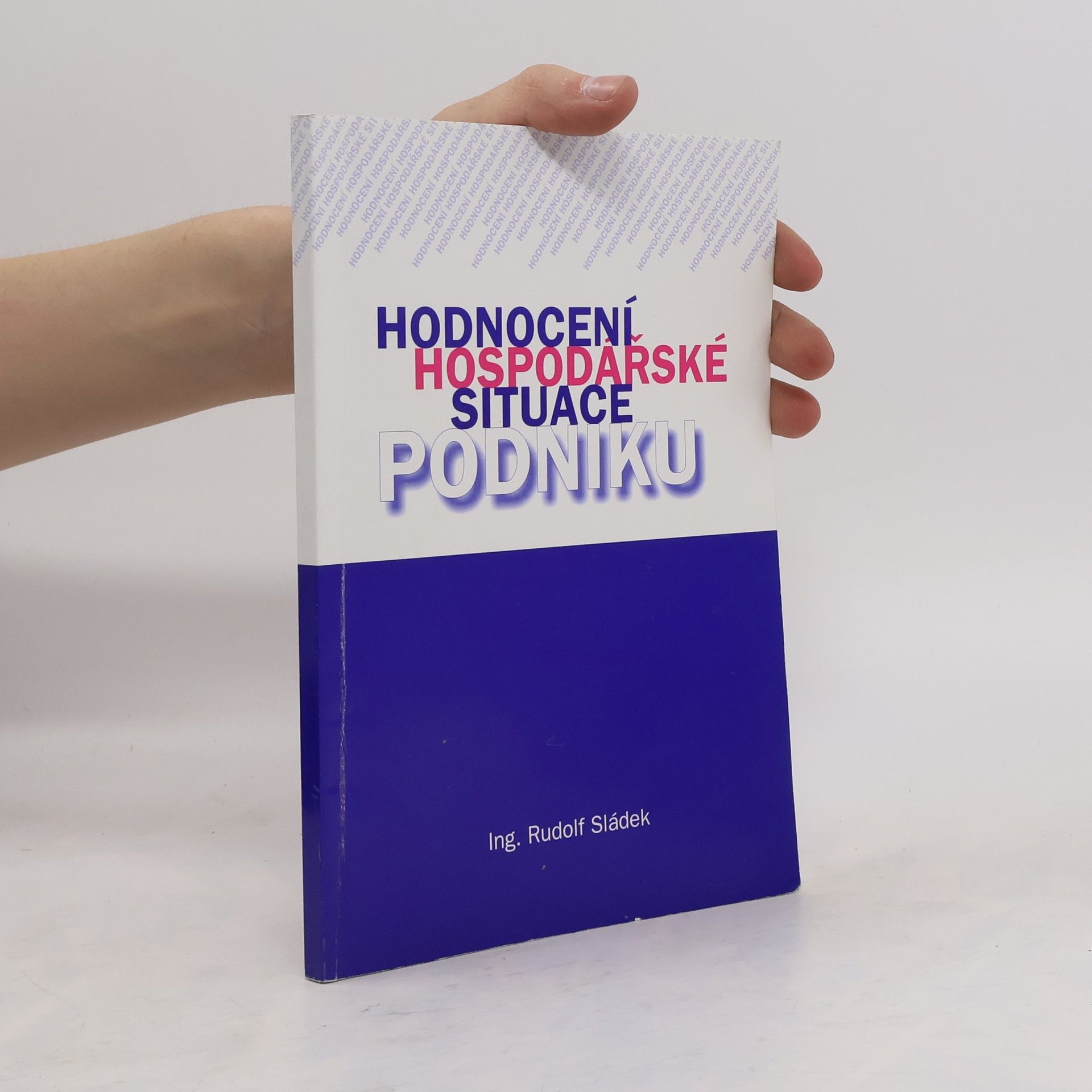 Rudolf Sládek Hodnocení hospodářské situace podniku