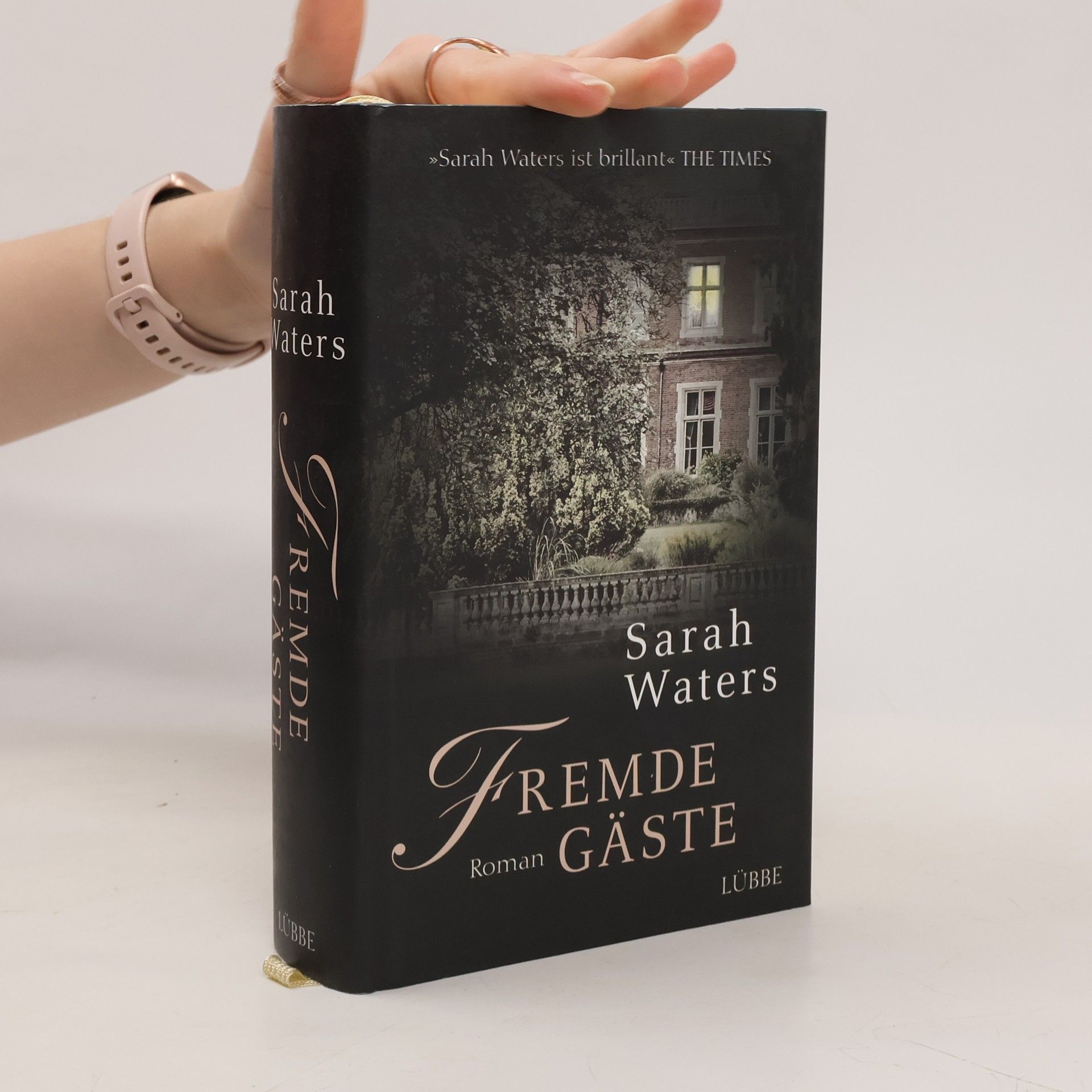 Sarah Waters Fremde Gäste
