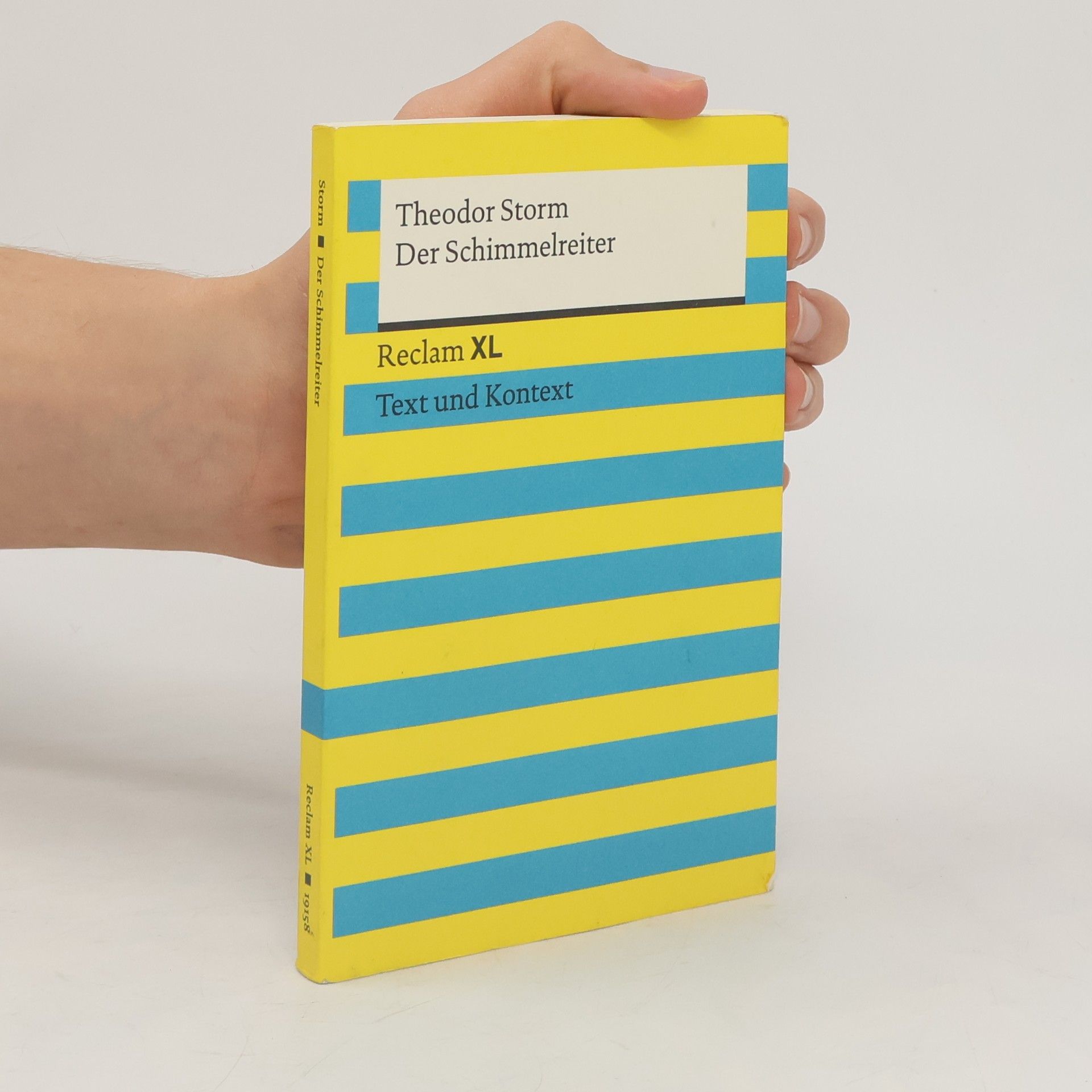Theodor Storm Der Schimmelreiter. Reclam XL. Text und Kontext