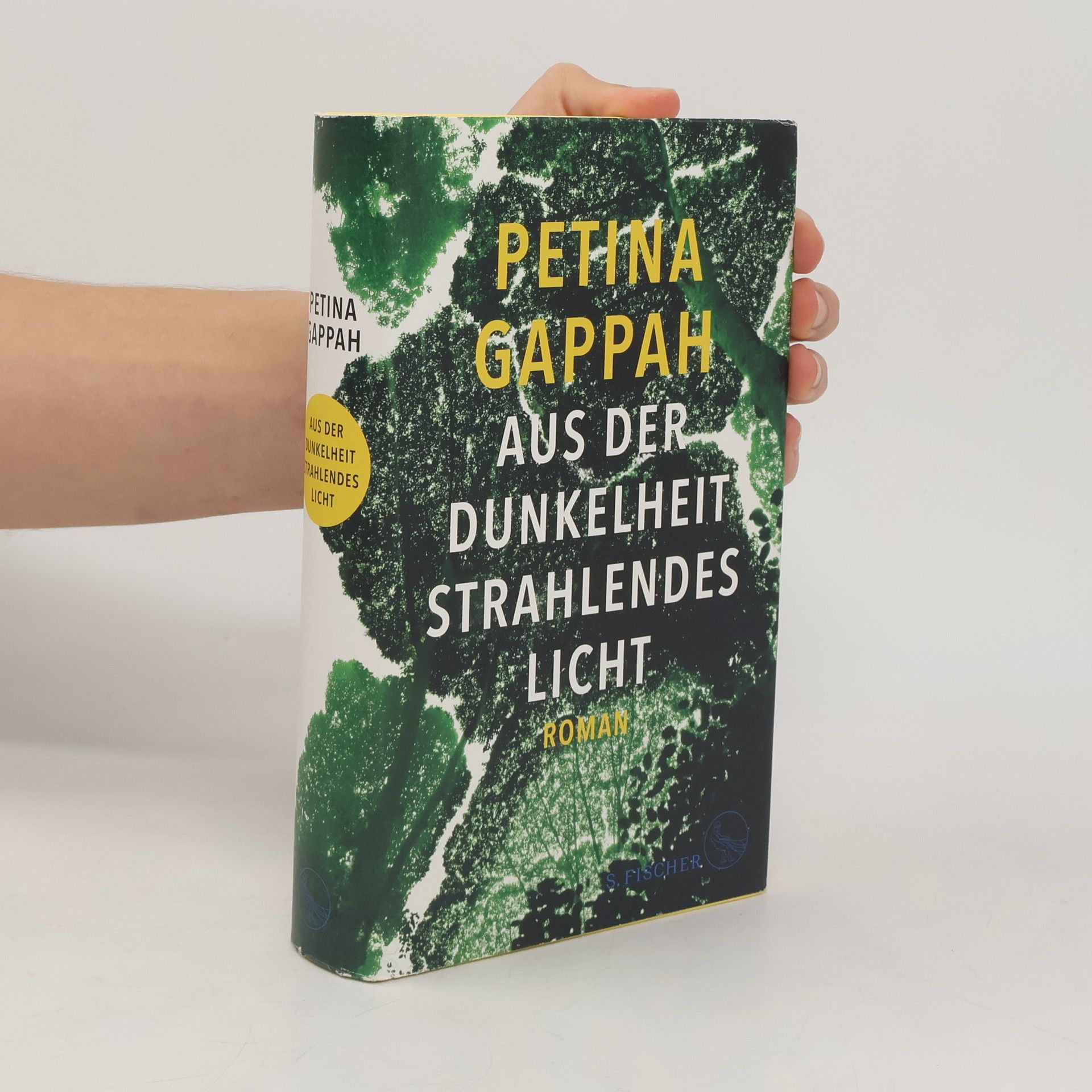 Petina Gappah Aus der Dunkelheit strahlendes Licht