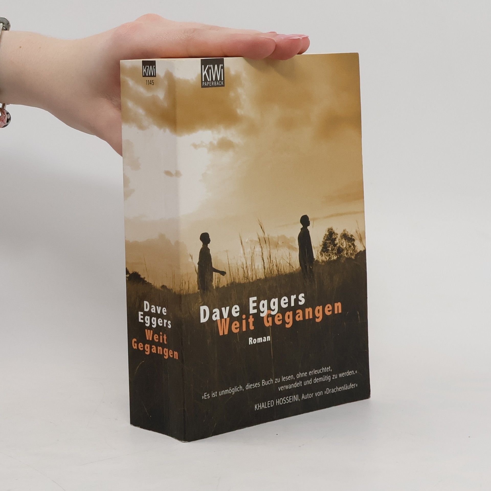 Dave Eggers Weit gegangen
