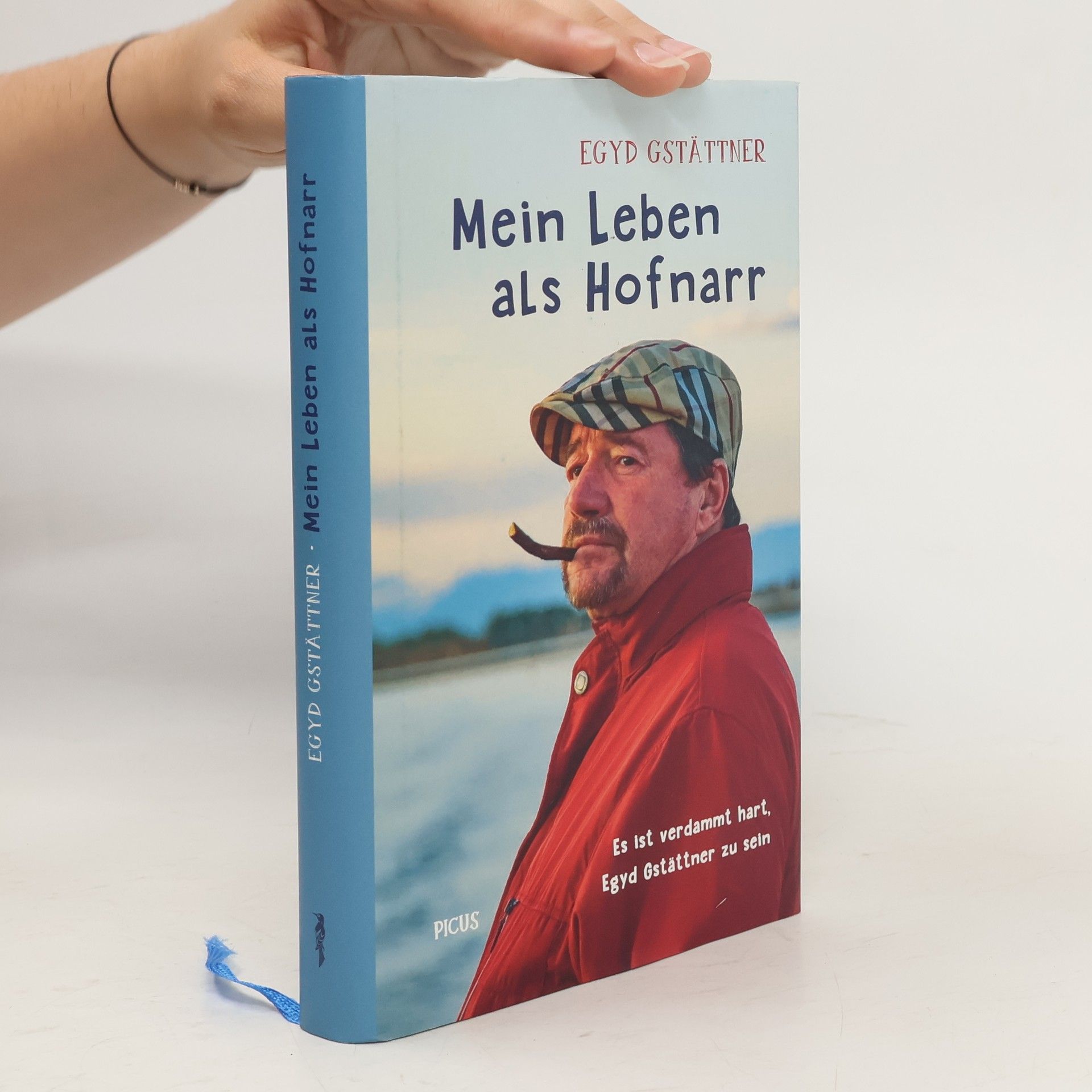 Egyd Gstättner Mein Leben als Hofnarr