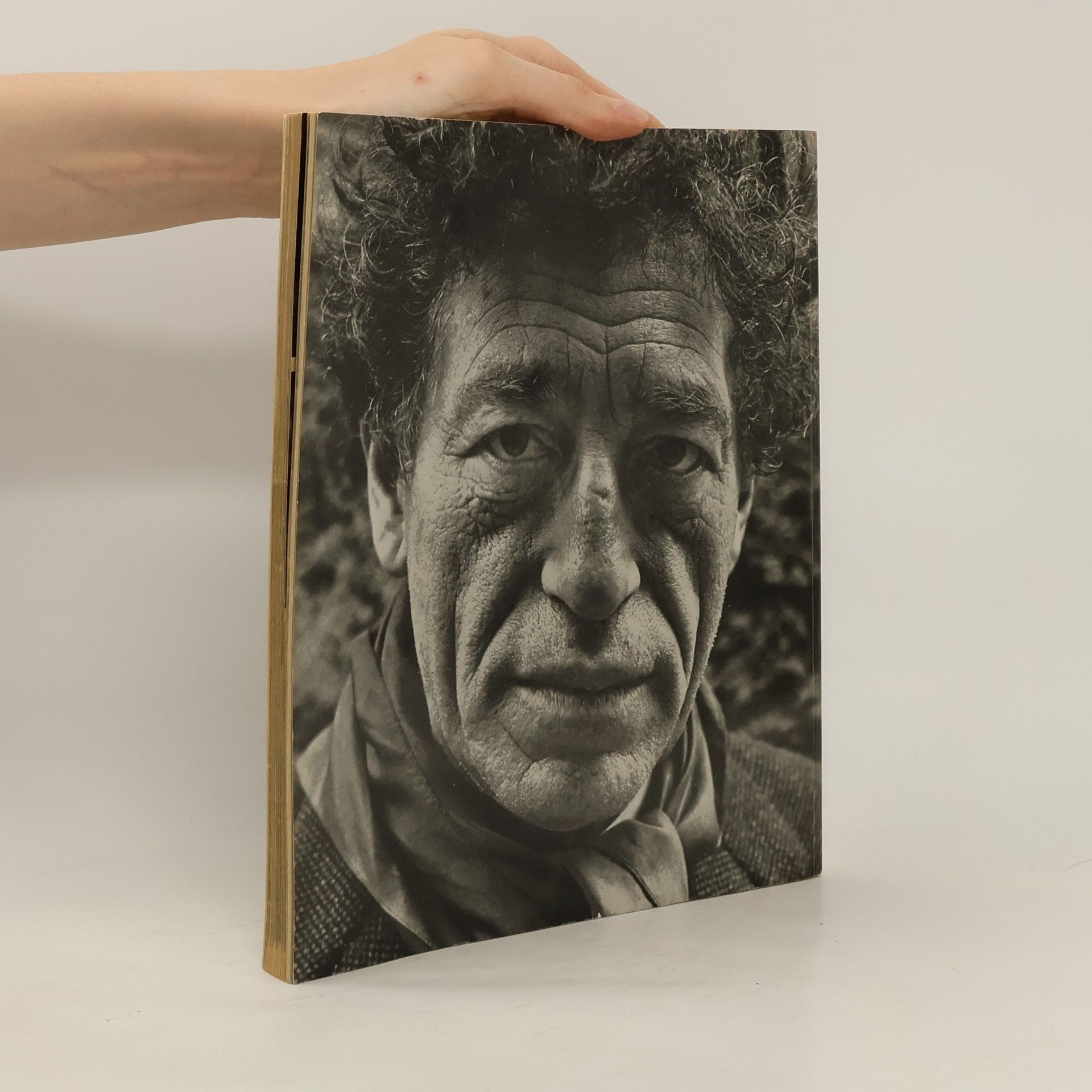Heinrich Böll Welt Ausstellung der Photographie