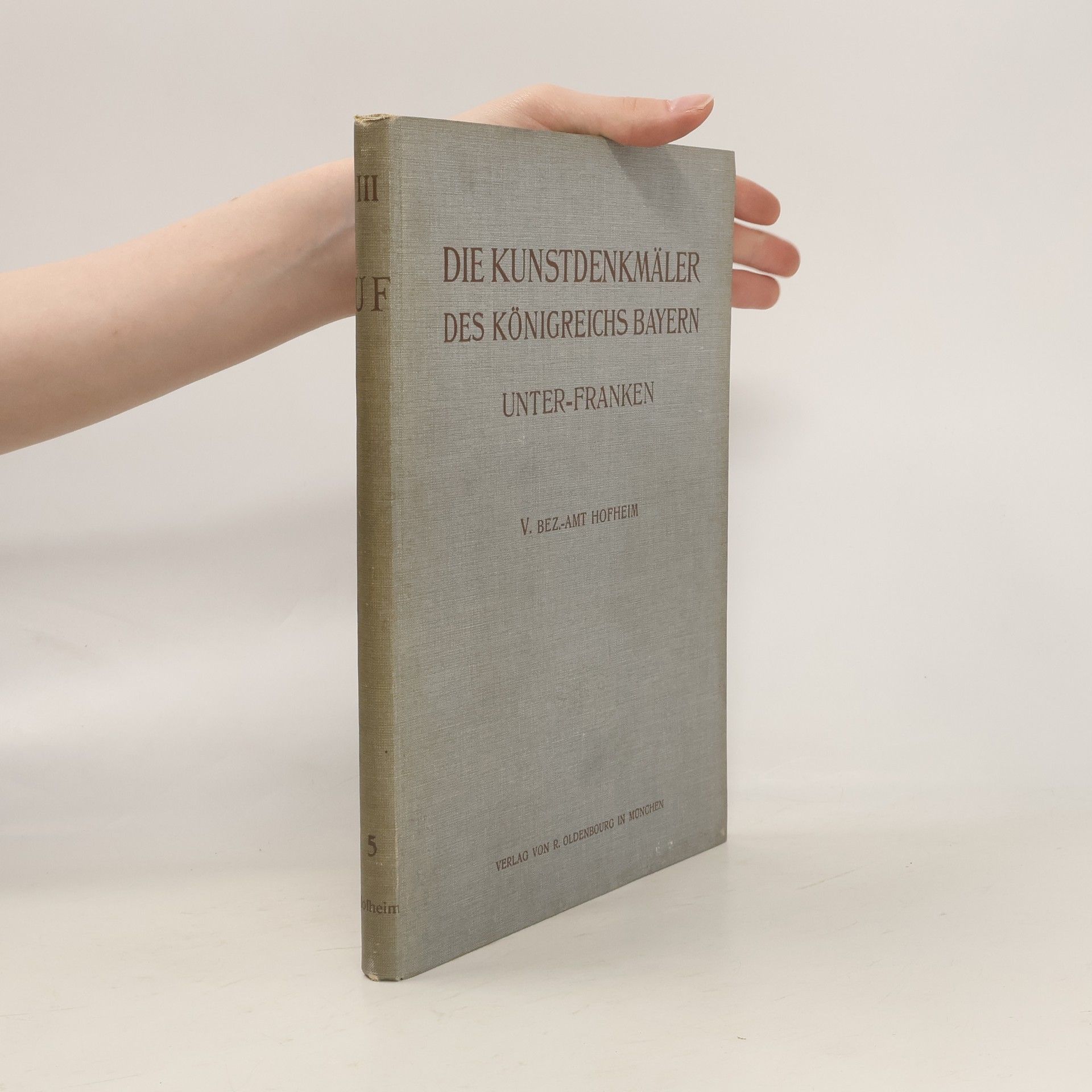 Felix Mader Die Kunstdenkmäler von Unterfranken & Aschaffenburg. 5. Bezirksamt Hofheim