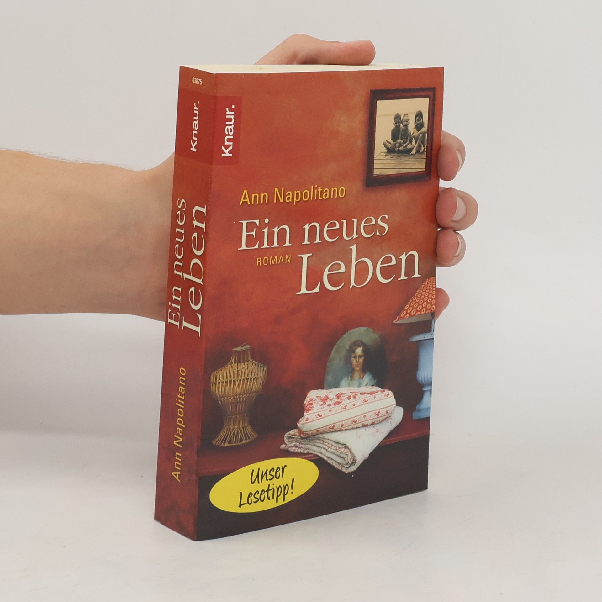 Ann Napolitano Ein neues Leben