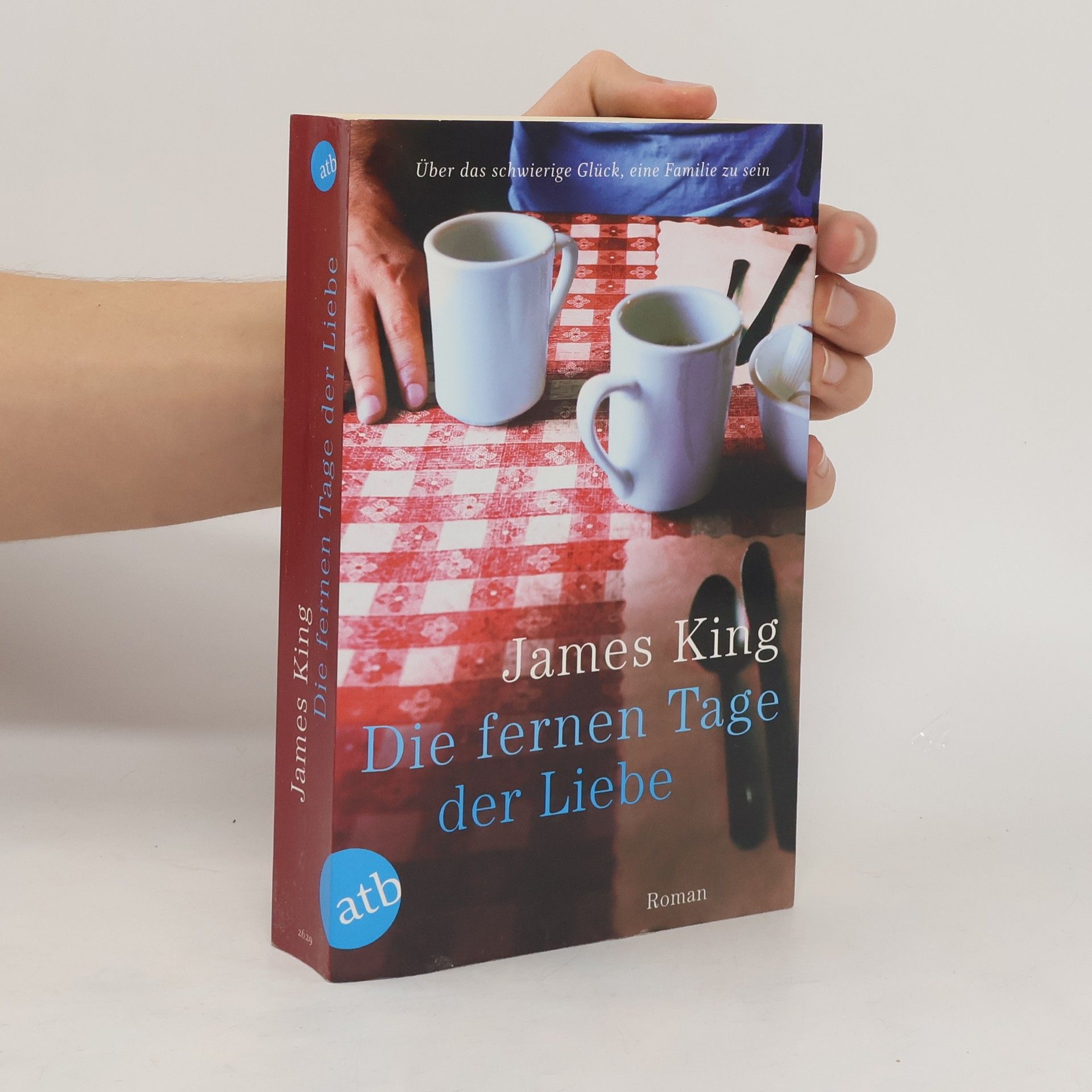 James King Die fernen Tage der Liebe
