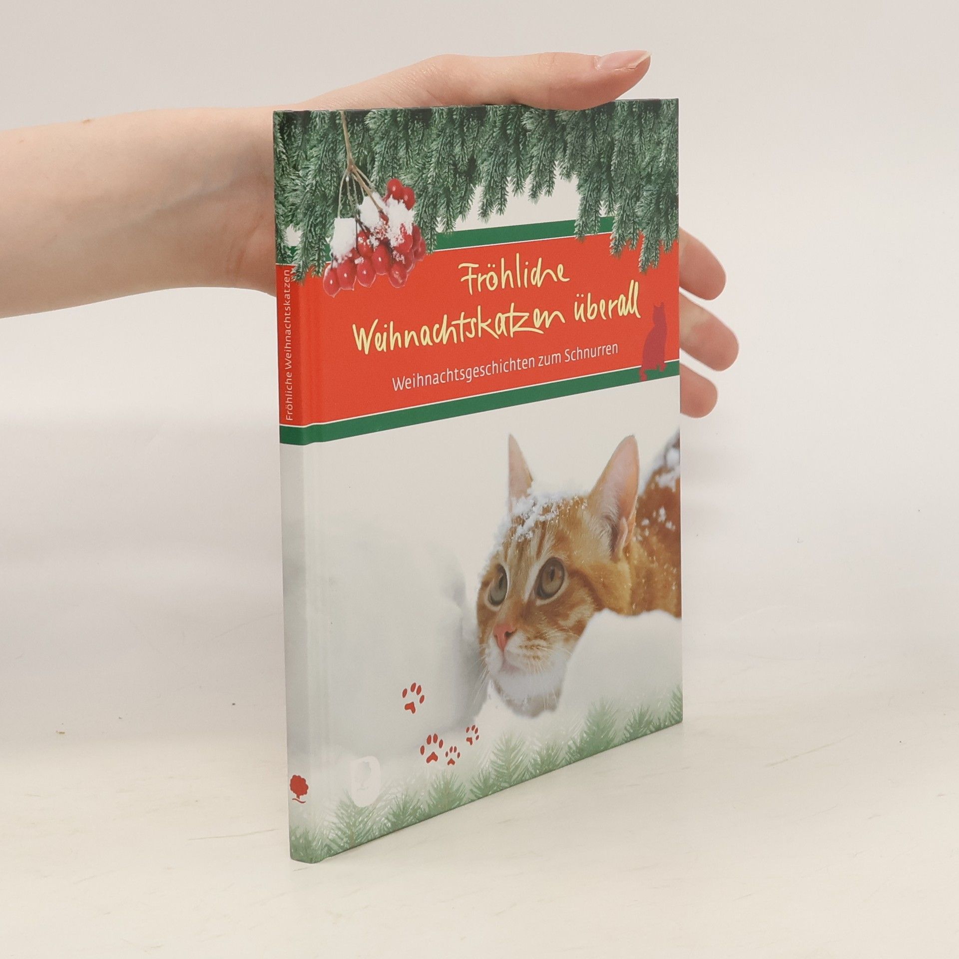 Autorenkollektiv Fröhliche Weihnachtskatzen überall