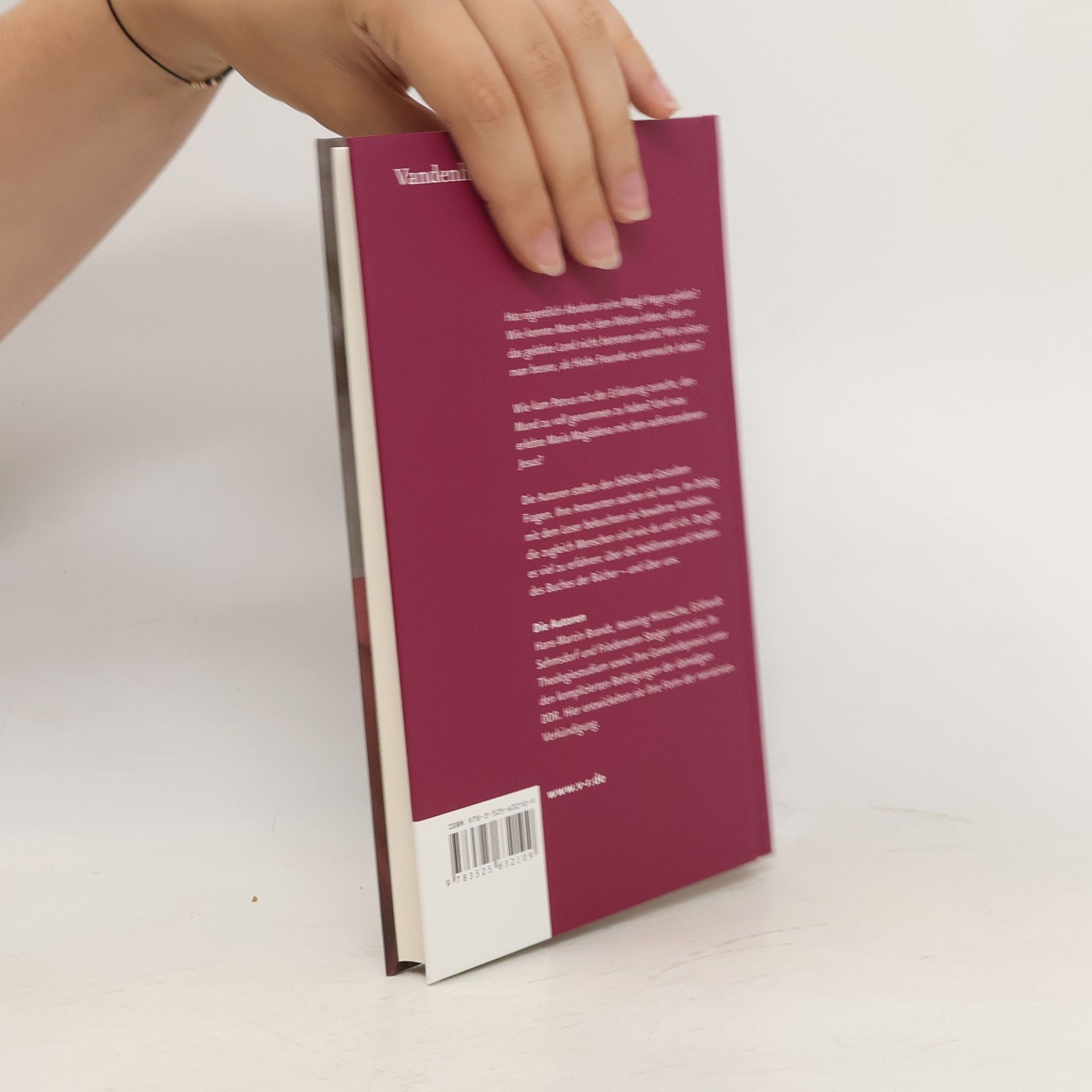Hans-Martin Brandt Begegnungen mit biblischen Gestalten