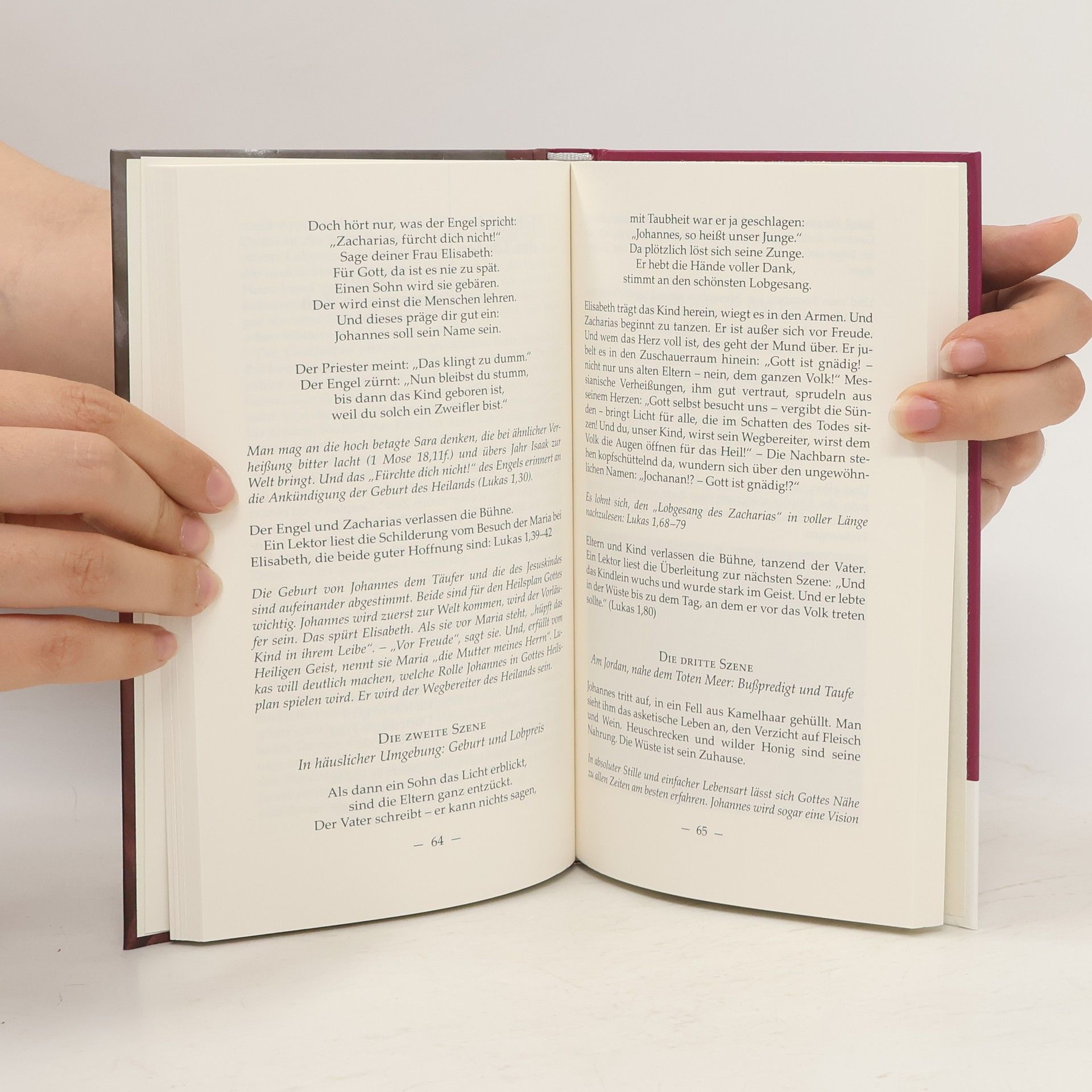 Hans-Martin Brandt Begegnungen mit biblischen Gestalten