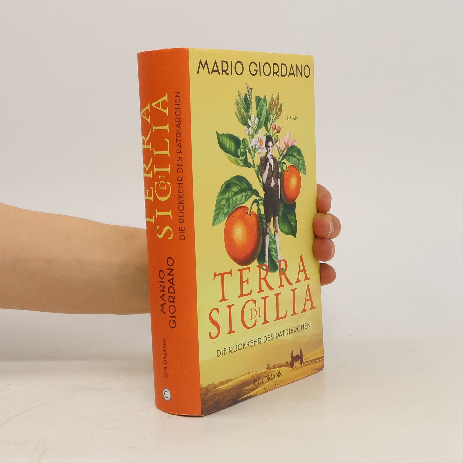 Mario Giordano Terra di Sicilia - die Rückkehr des Patriarchen
