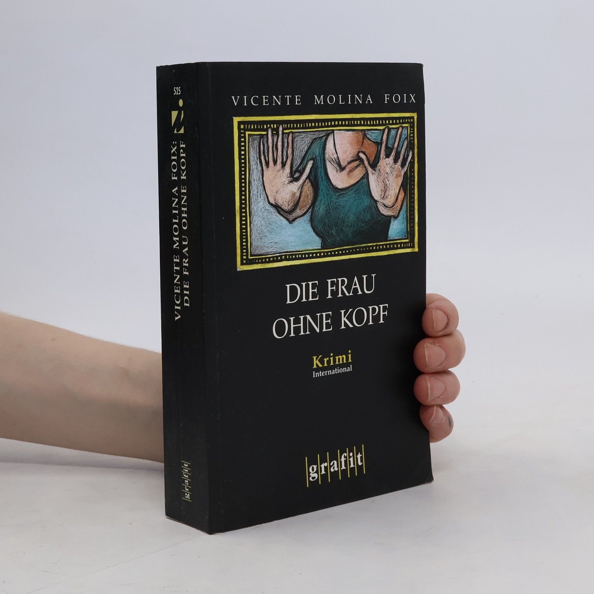 Vicente Molina Foix Die Frau ohne Kopf
