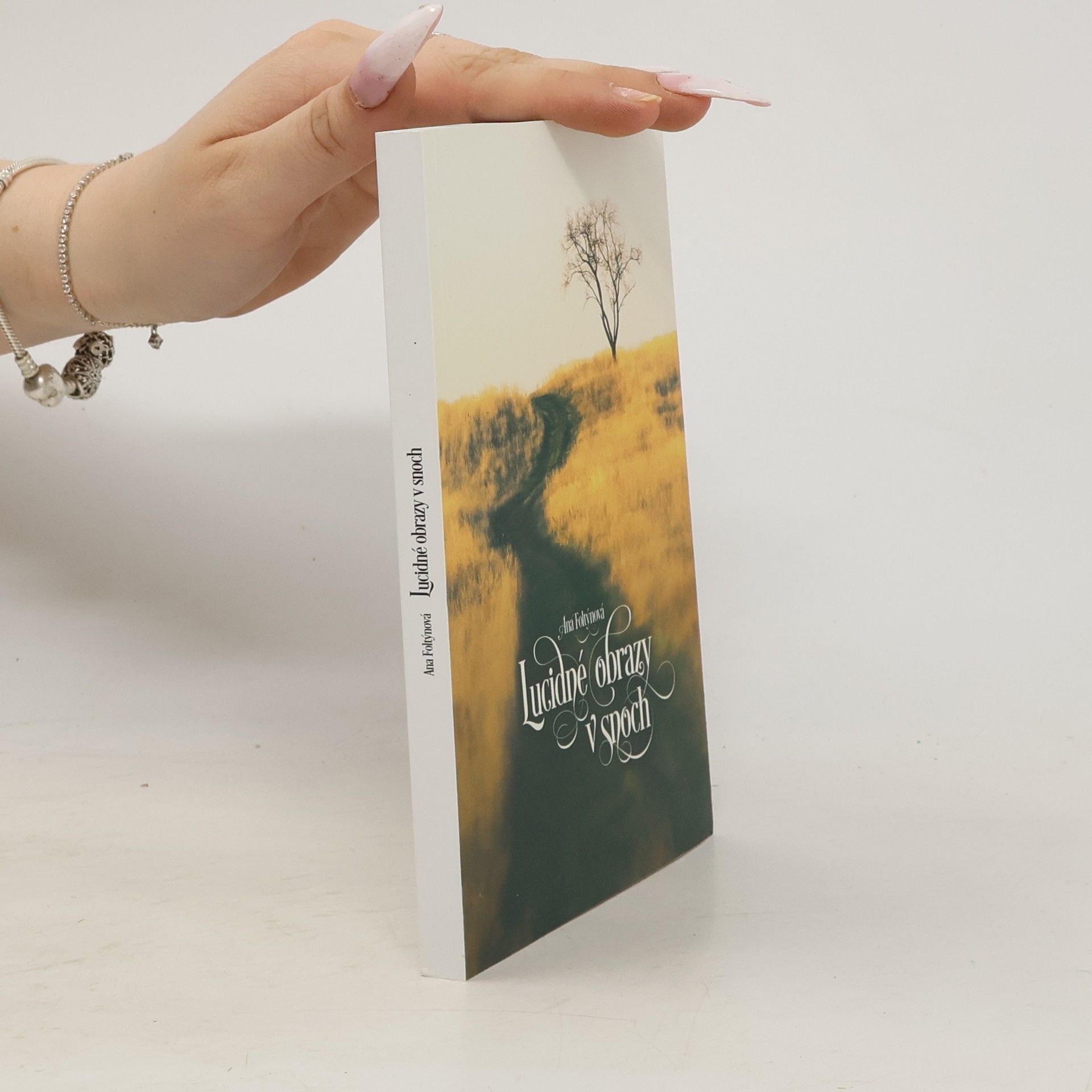 Lucidné obrazy v snoch