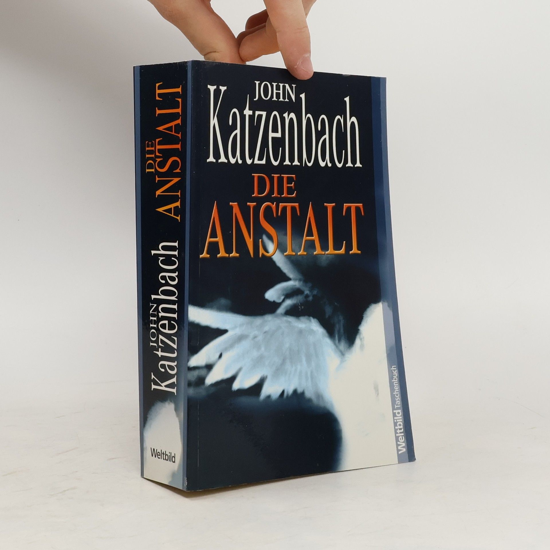 John Katzenbach Die Anstalt