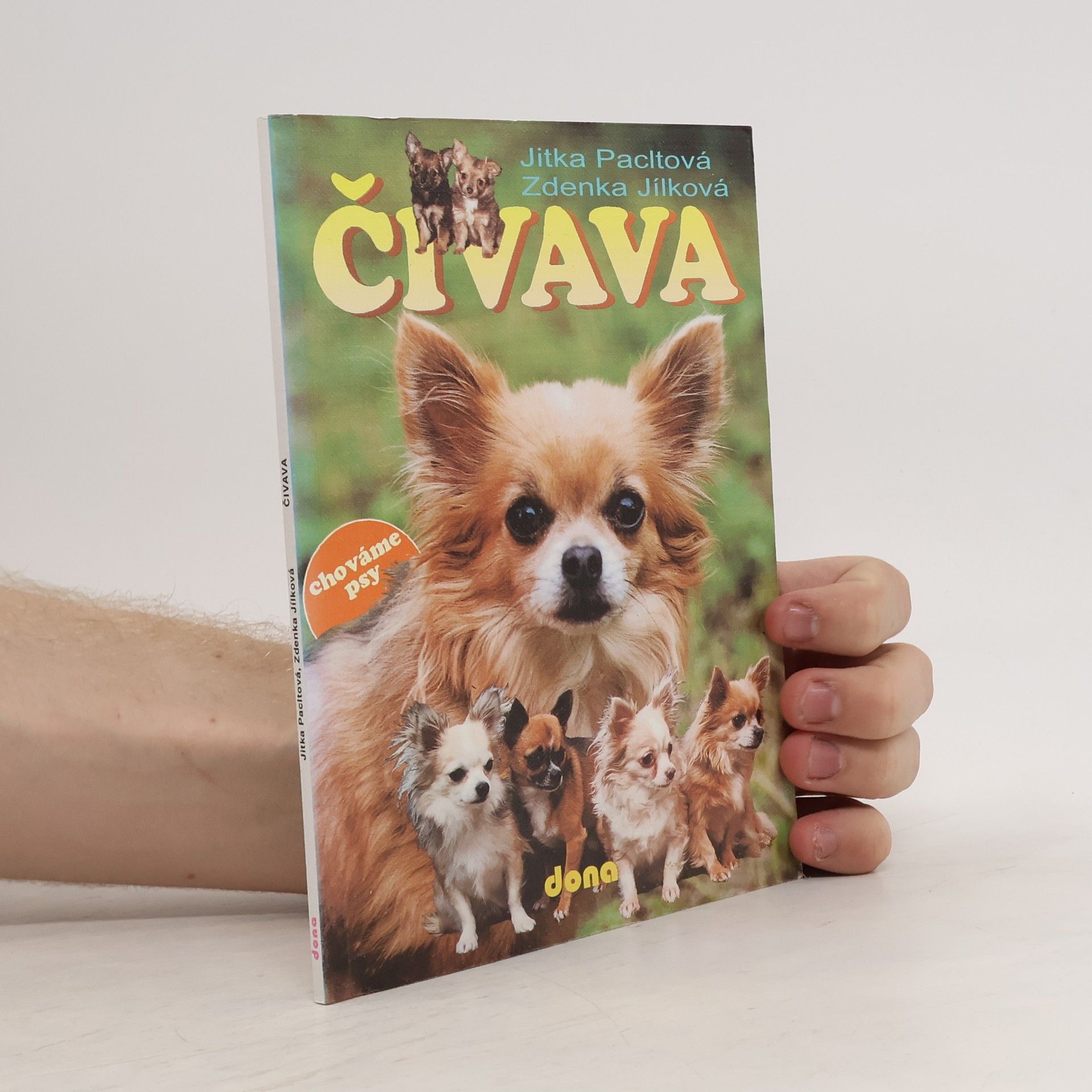 Jitka Pacltová Čivava