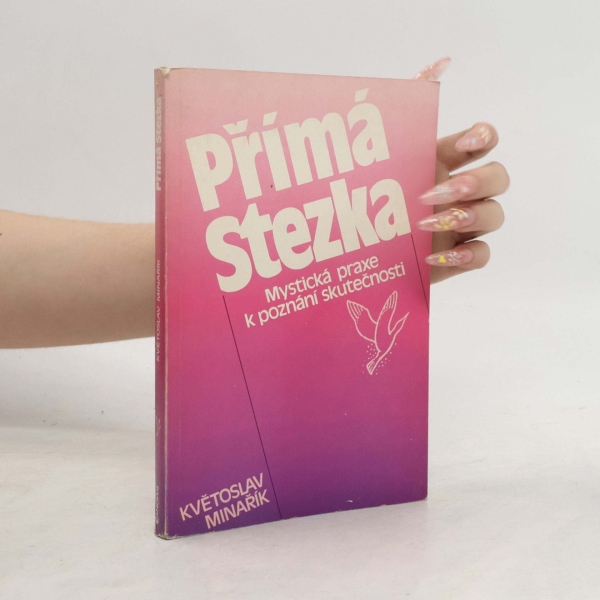 Květoslav Minařík Přímá stezka