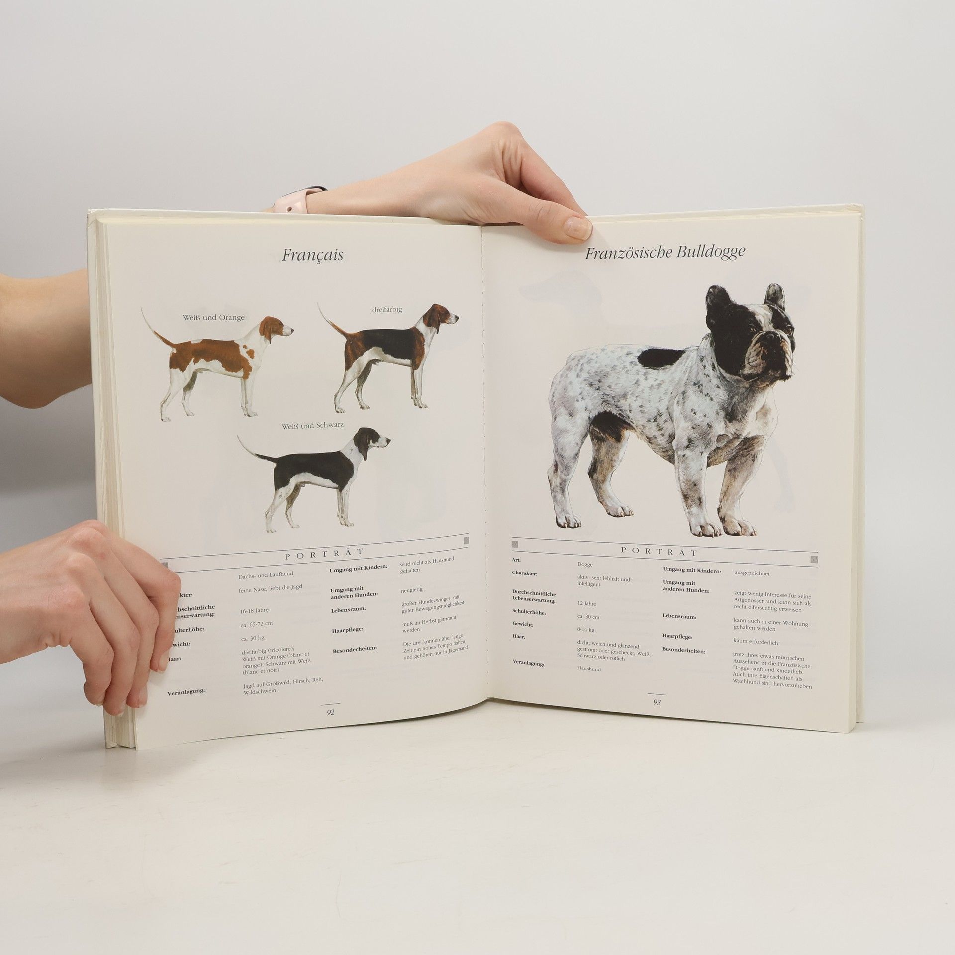 Autorenkollektiv Die große Hunde-Enzyklopädie