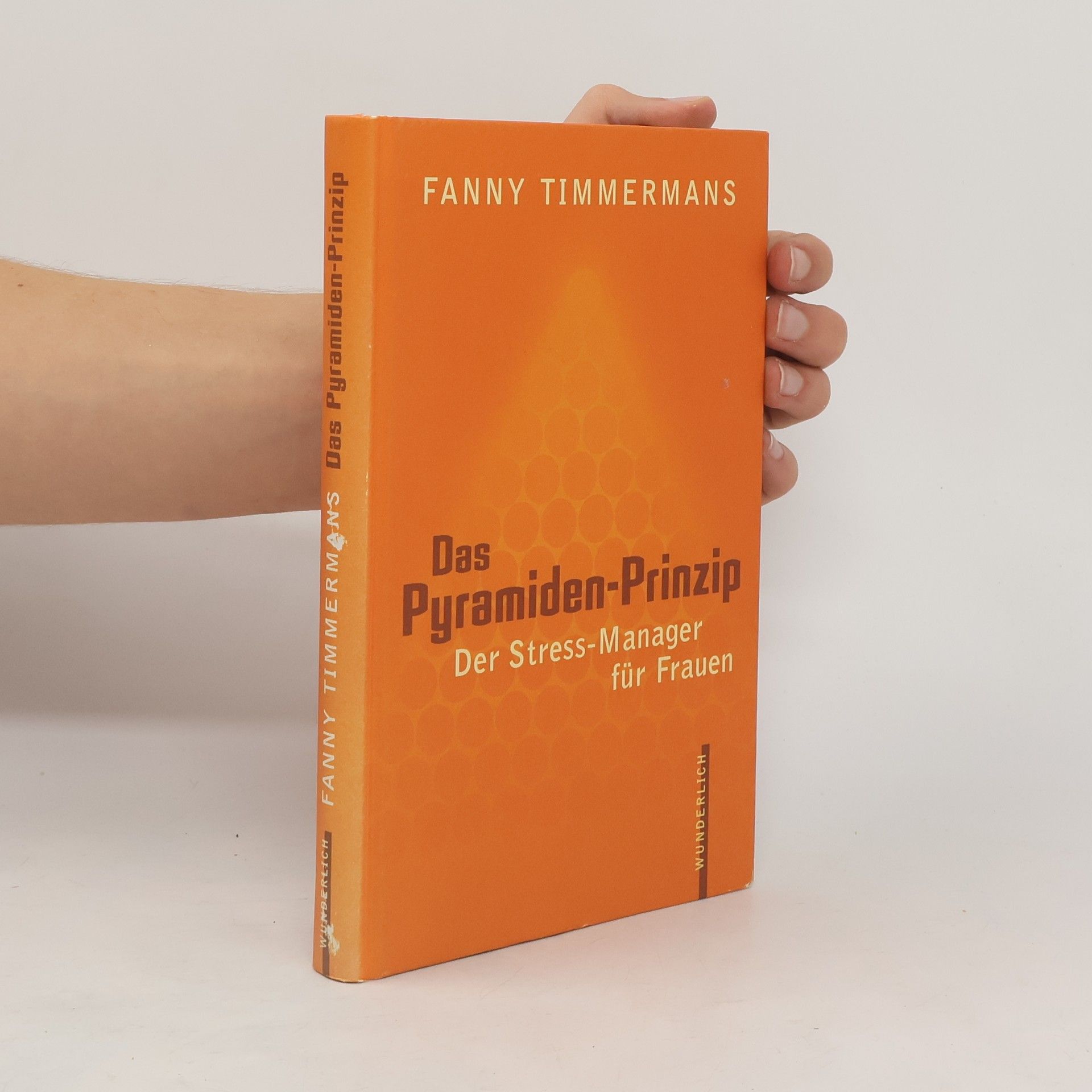 Fanny Timmermans Das Pyramiden-Prinzip