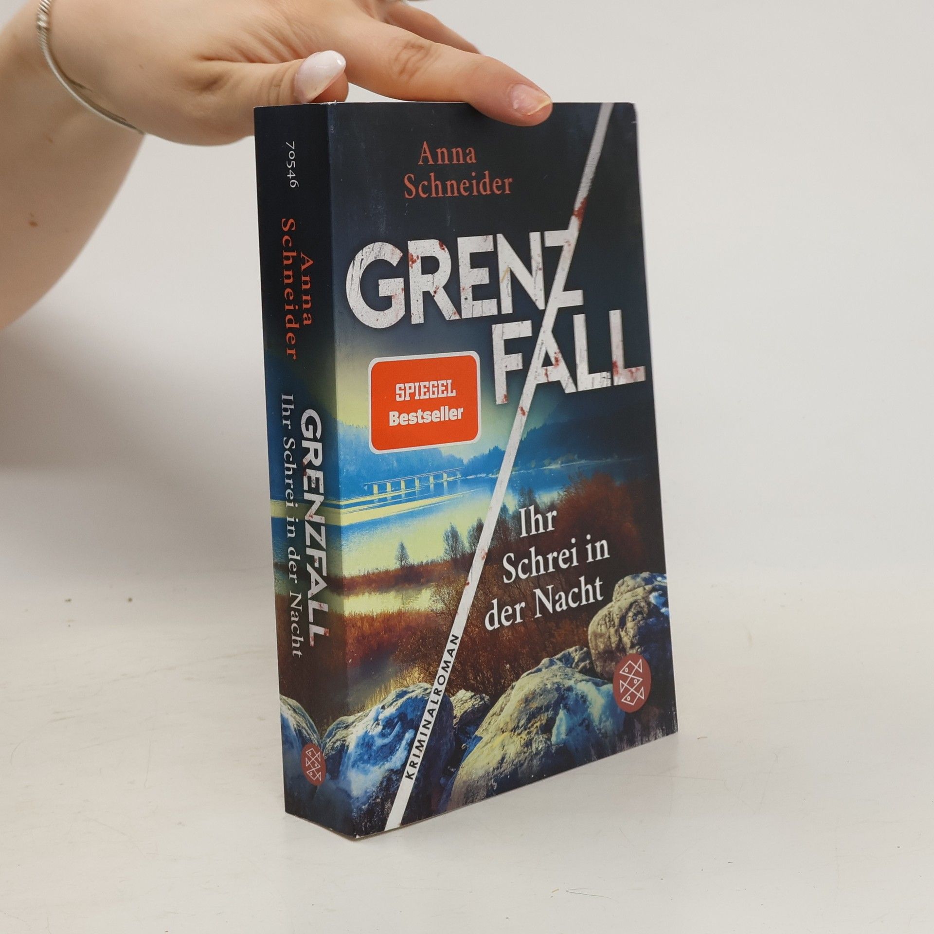 Anna Schneider Grenzfall - ihr Schrei in der Nacht
