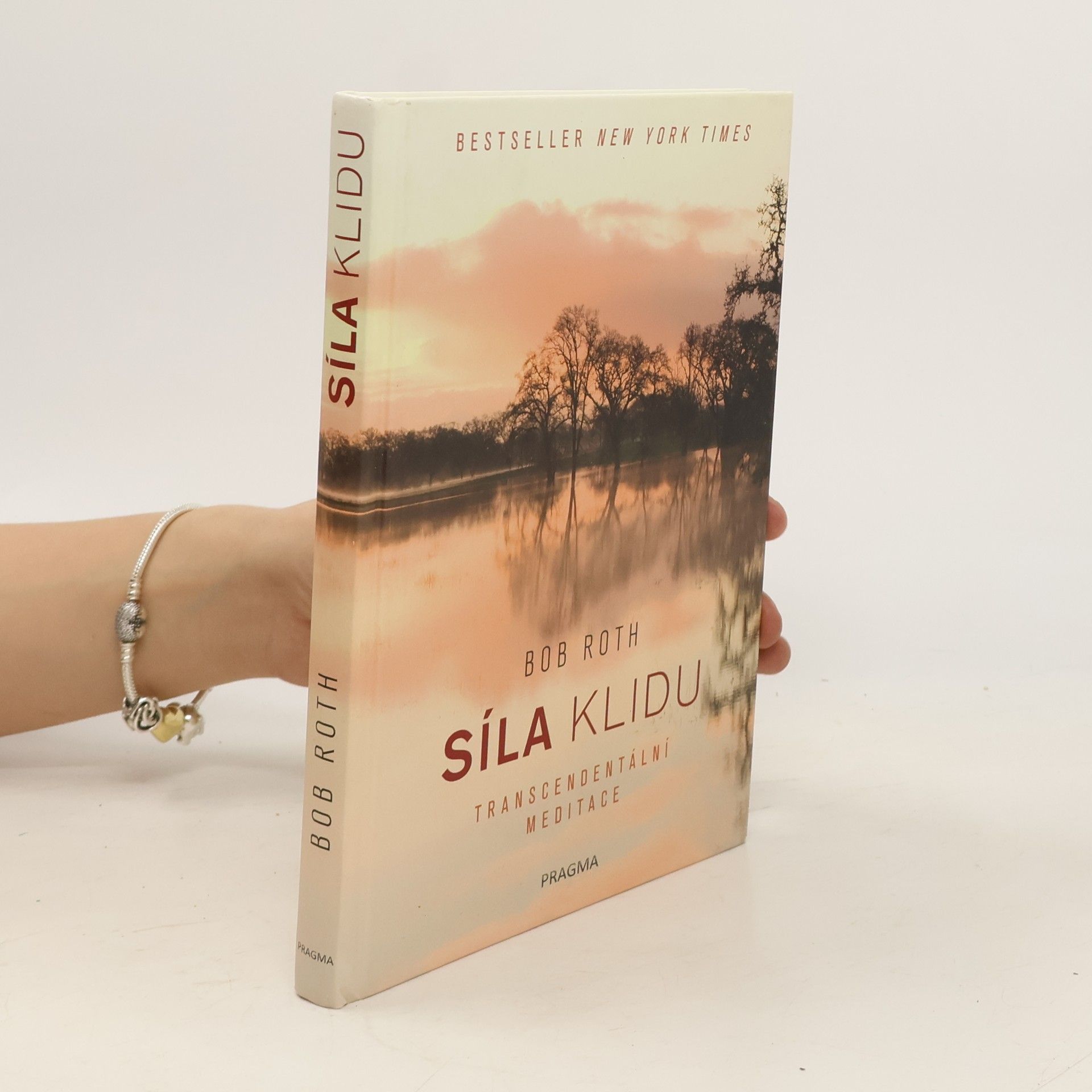 Bob Roth Síla klidu. Transcendentální meditace
