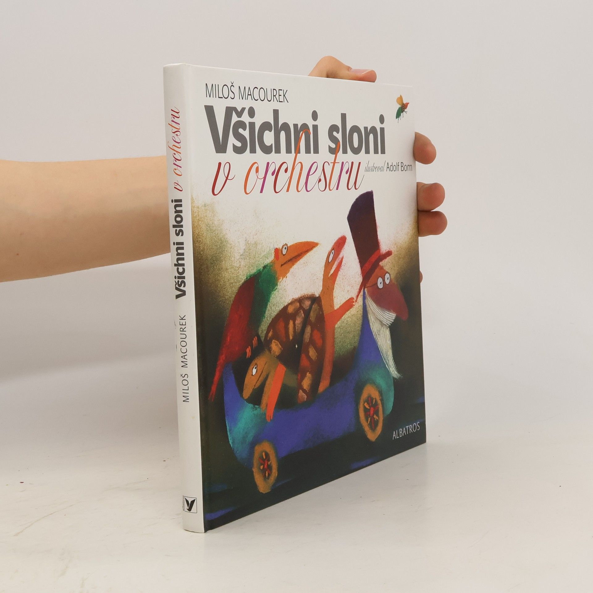 Všichni sloni v orchestru