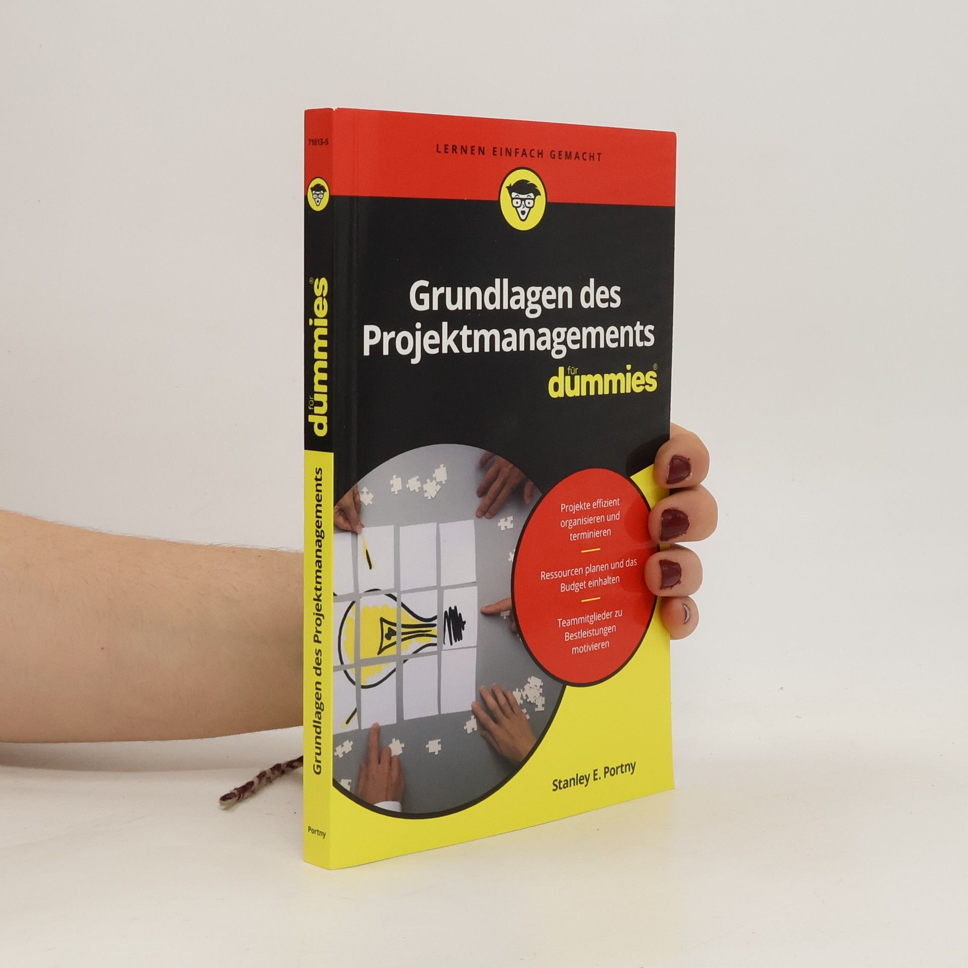 Stanley E. Portny Grundlagen des Projektmanagements für Dummies