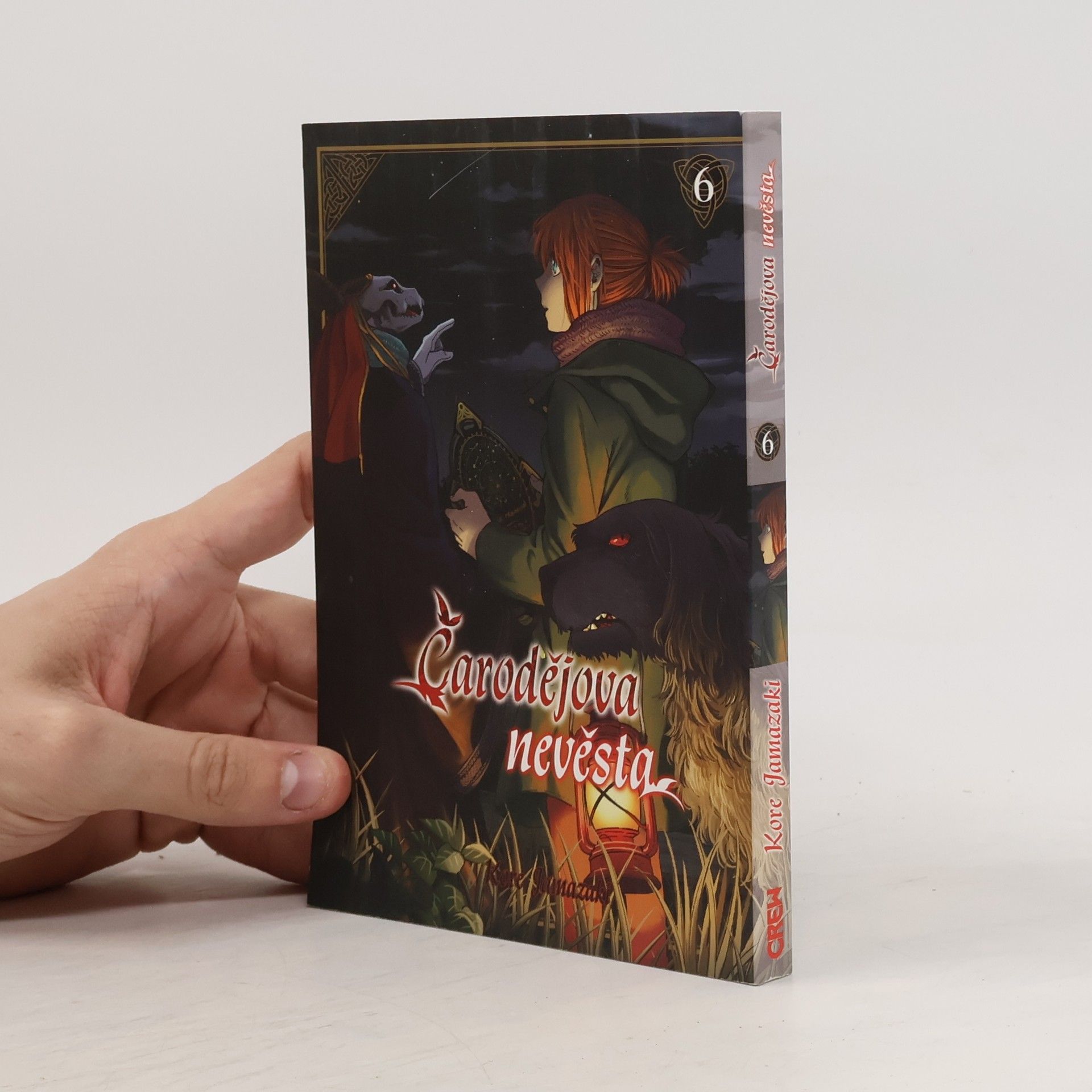 Kore Jamazaki Čarodějova nevěsta 6