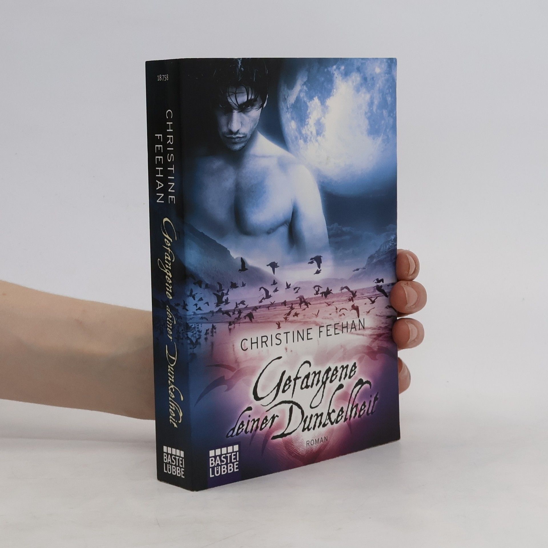 Christine Feehan Gefangene deiner Dunkelheit