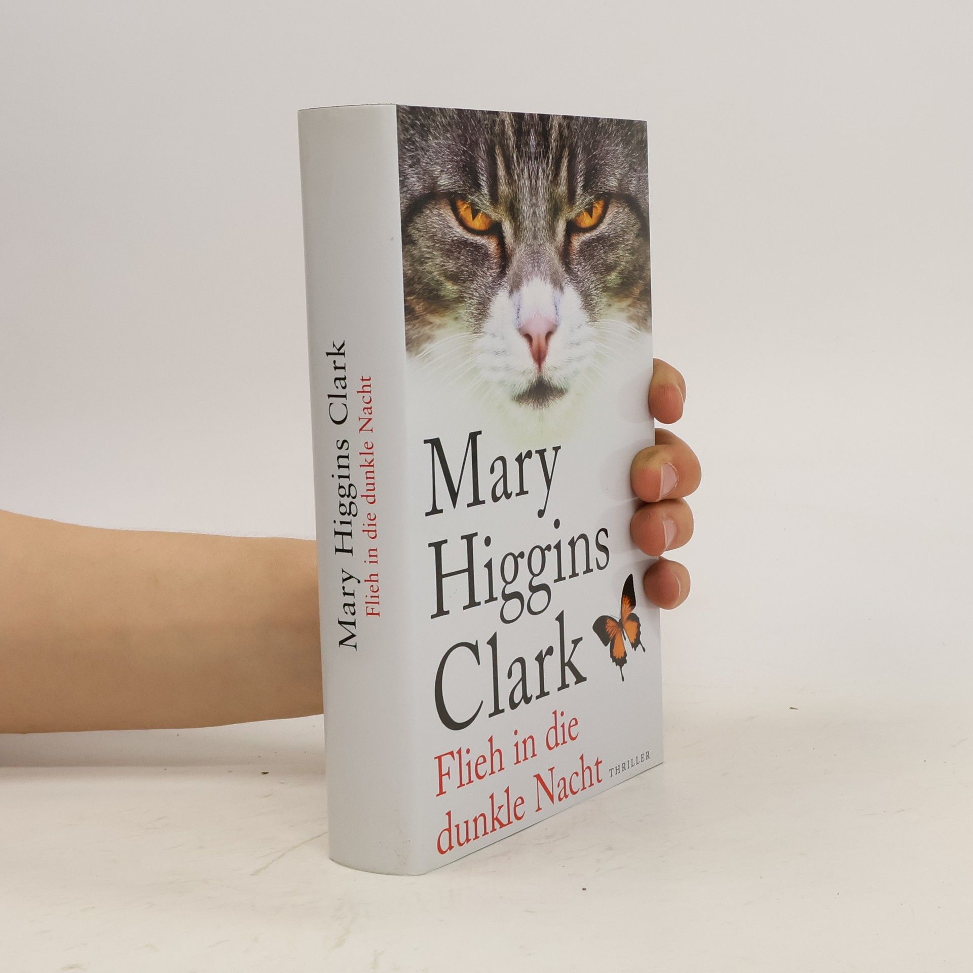 Mary Higgins Clark Flieh in die dunkle Nacht