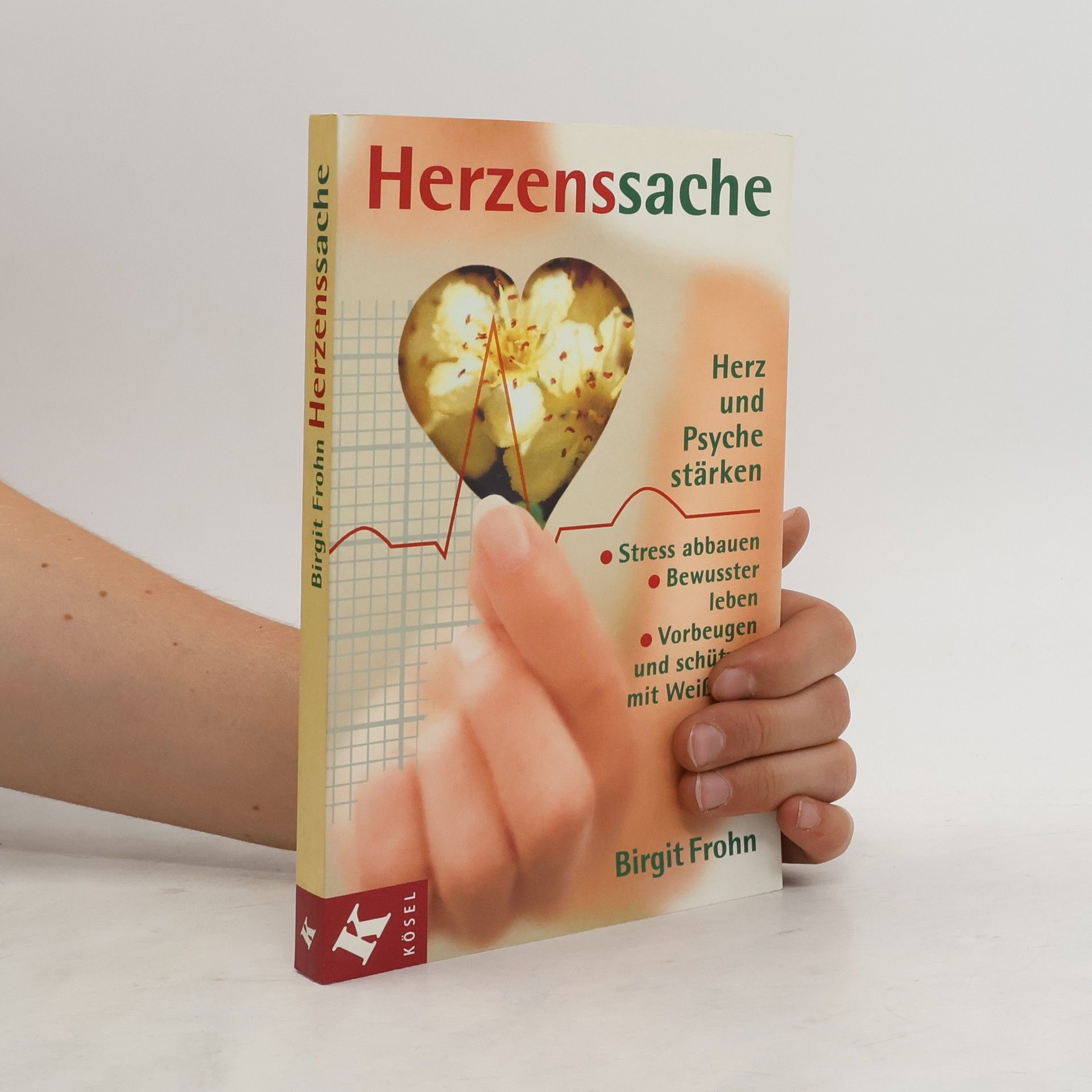 Birgit Frohn Herzenssache