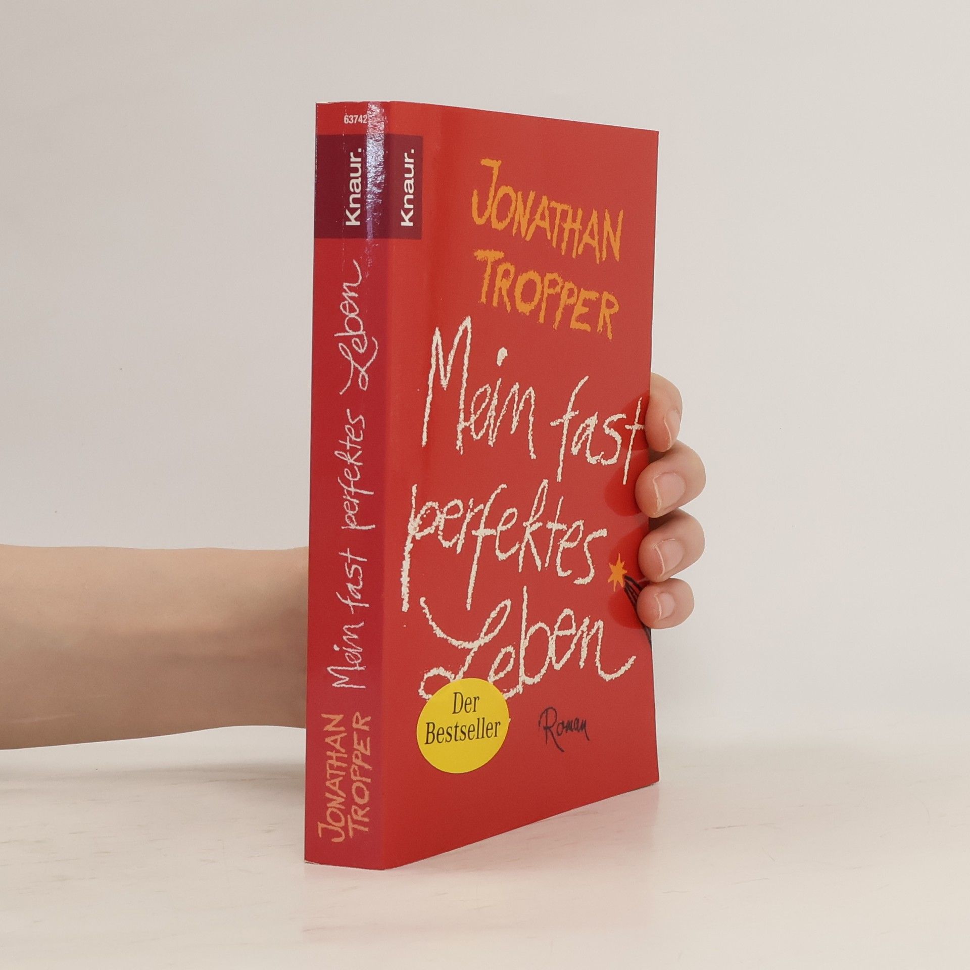 Jonathan Tropper Mein fast perfektes Leben