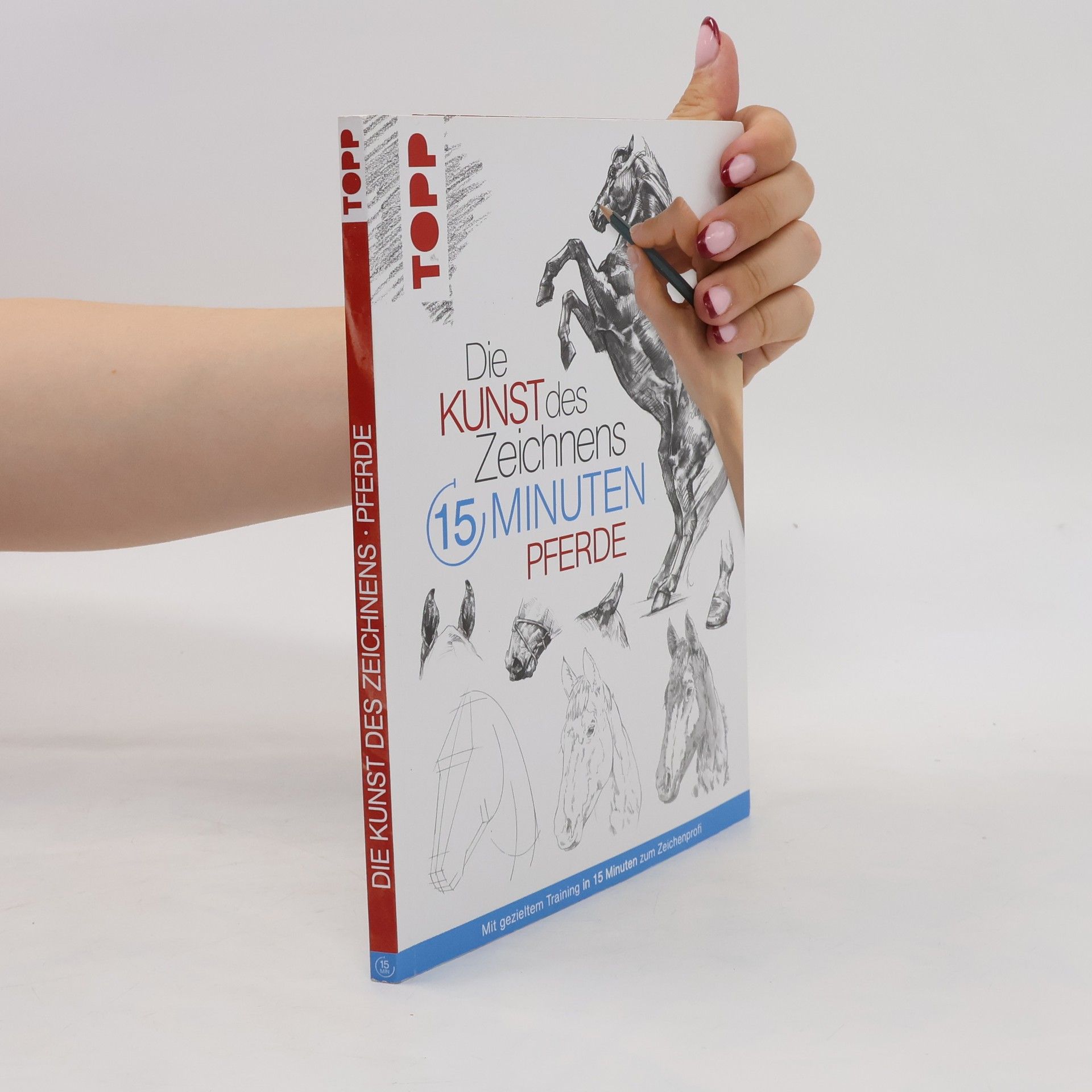 Autorenkollektiv Die Kunst des Zeichnens 15 Minuten - Pferde
