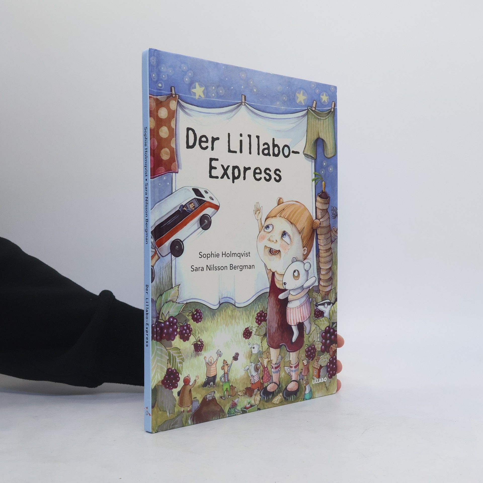 Sara Nilsson Bergman Der Lillabo-Express