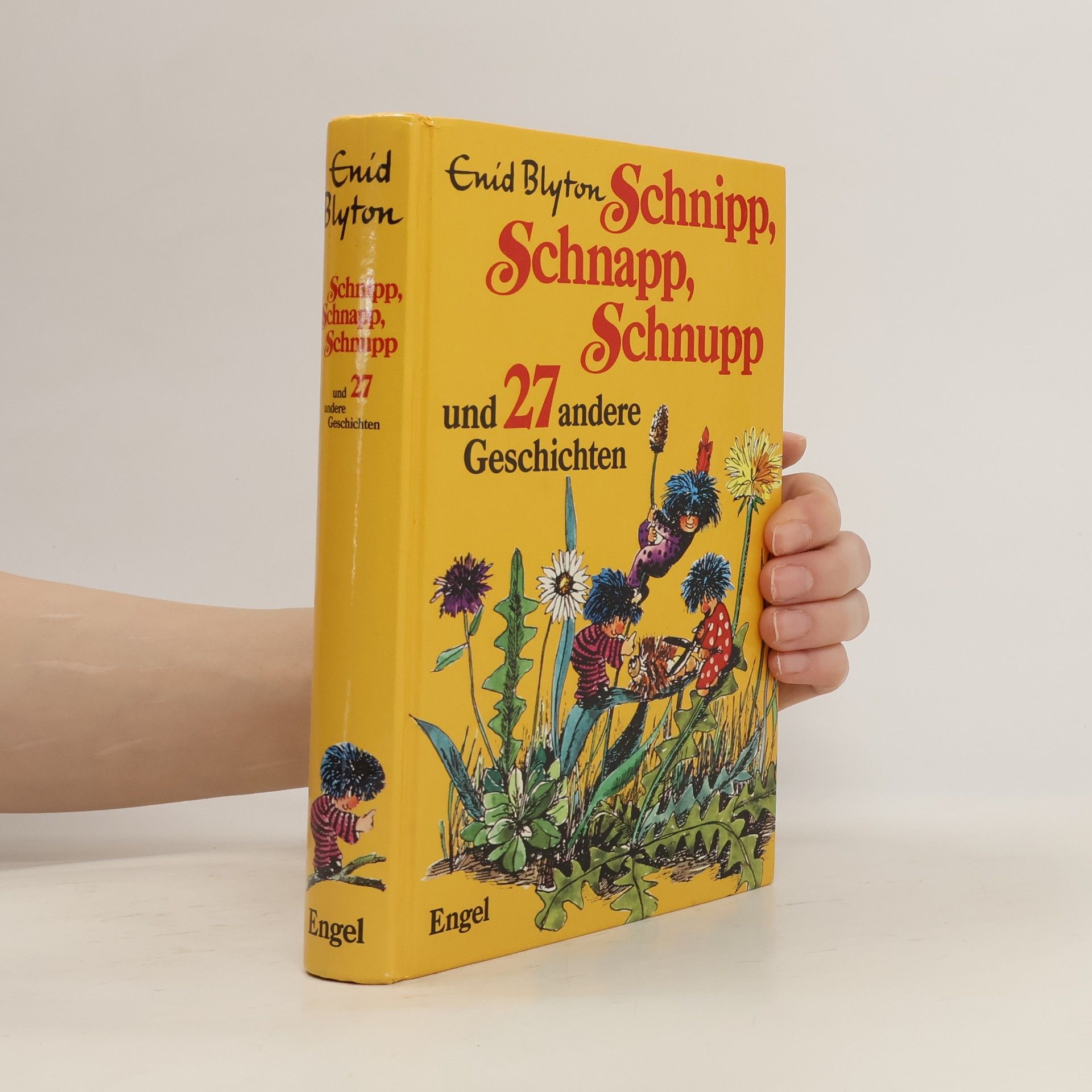 Enid Blyton Schnipp, Schnapp, Schnupp und 27 andere Geschichten