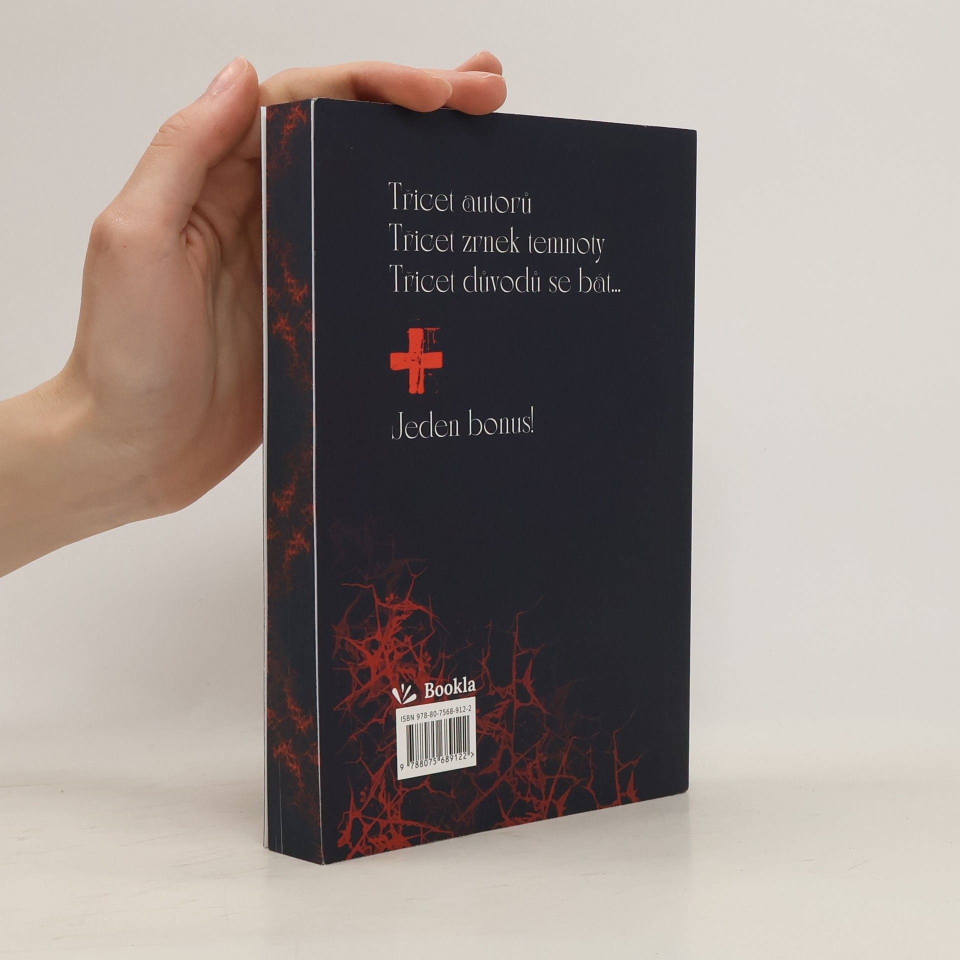 Collectif d'auteurs Třicet. Hororová antologie