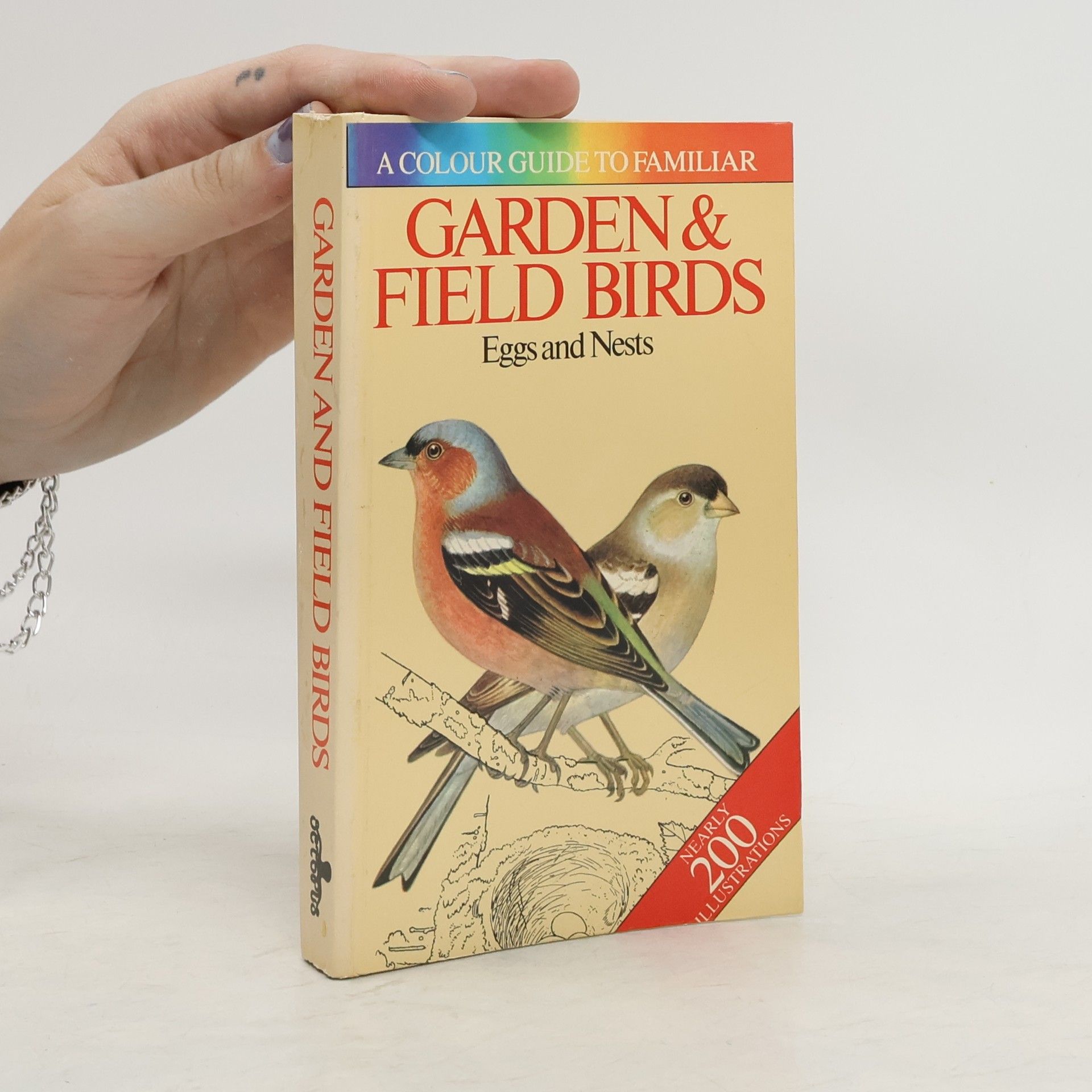 Jiří Felix Garden and field Birds