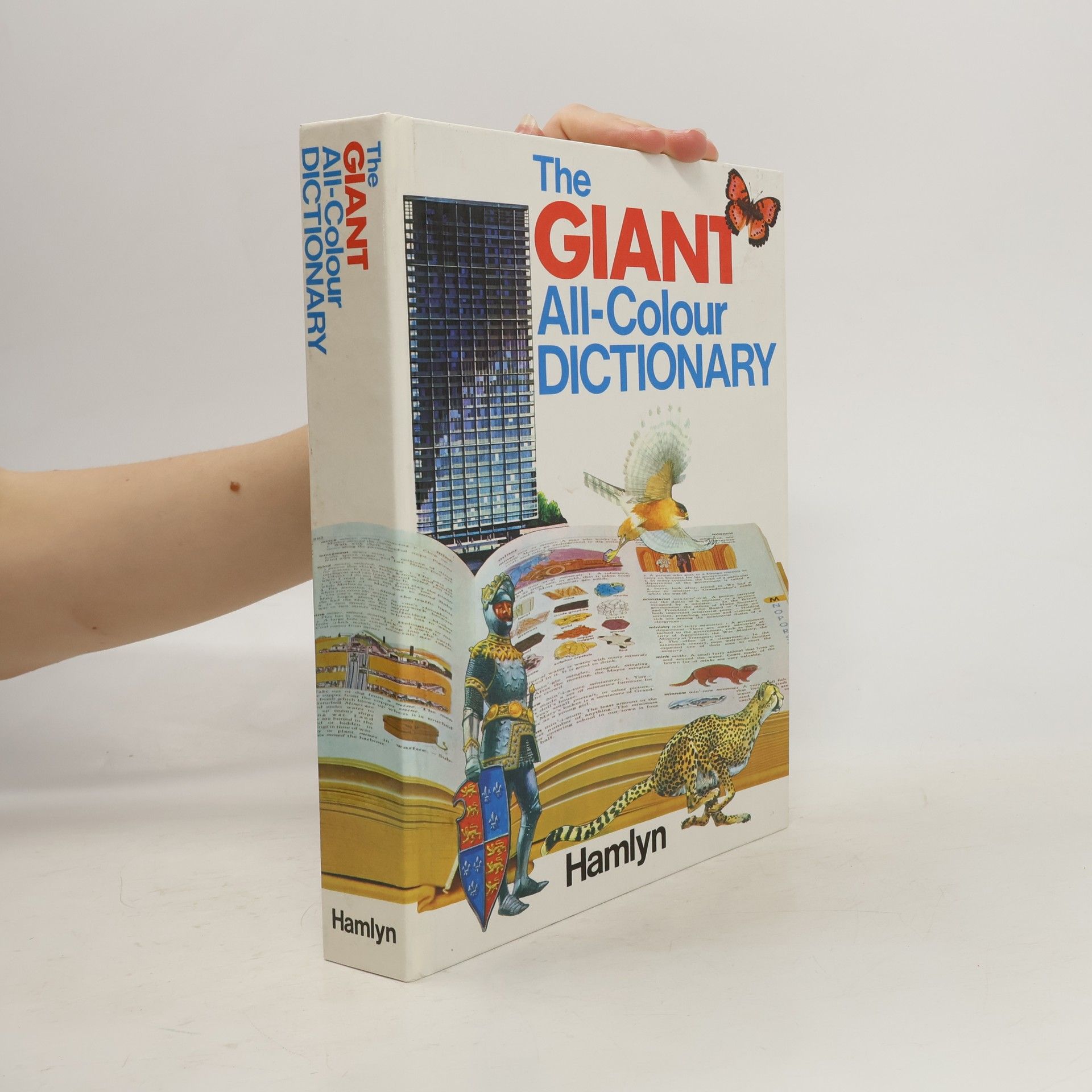 Stuart A. Courtis Giant All Colour Dictionary